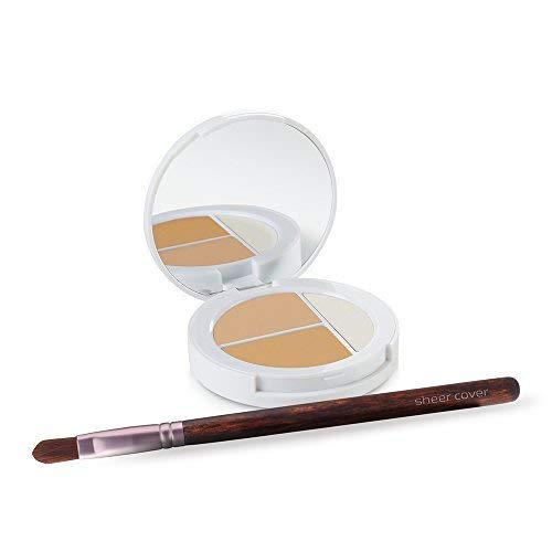 Sheer Cover Studio – Conceal and Brighten Highlight Trio – Two-Toned Concealers – Shimmering Highlighter – Light/Medium Shade – With FREE Concealer Brush – 3 Grams Sheer Cover Au supplements