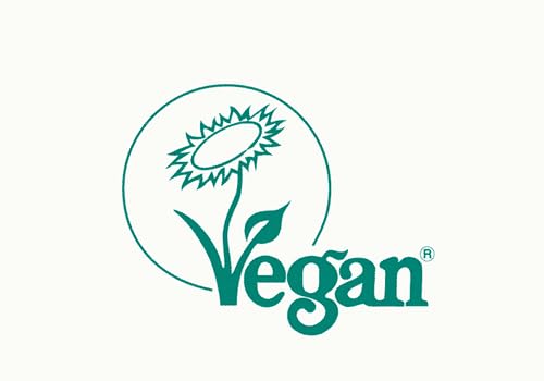 Sevenhills Wholefoods Organic Rice Protein Powder 500g Sevenhills Wholefoods Au supplements