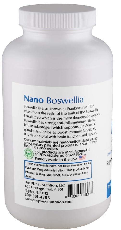One Planet Nutrition Nano Brain 500 mg Capsules (120 Count) - Synergistic Blend of Bacopa, Curcumin, Boswellia & Ginkgo - Enhances Mental Clarity & Memory - Non-GMO, Vegan, Gluten Free One Planet Nutrition Au supplements