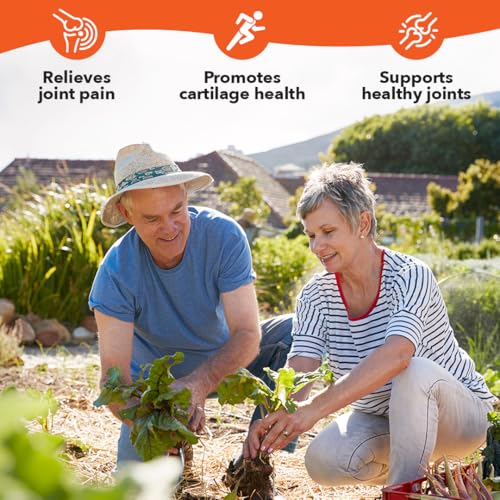 LifeSeasons Mobili-T - Joint Support Supplement - Reduces Aches & Discomforts - Increase Range of Motion - Rebuild Tissue & Cartilage - MSM Chondroitin Collagen Glucosamine & Turmeric - 208 Capsules LifeSeasons Au supplements