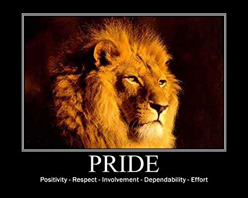 #1 Pre Workout - Dominate X 500g - Best Nitric Oxide & Creatine Pre-Workout Formula