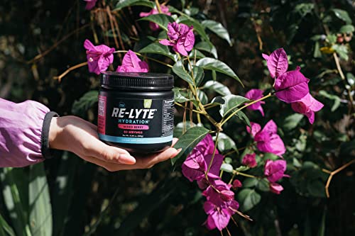 REDMOND Re-Lyte Hydration Electrolyte Mix (Mixed Berry) REDMOND Au supplements
