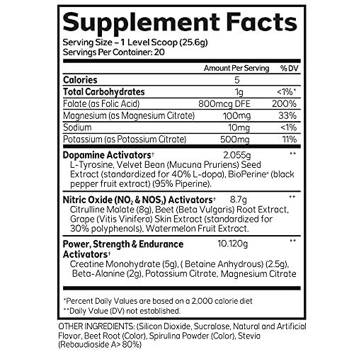 Advanced Molecular Labs - Pre Workout Powder, Increases Drive, Performance Enhancer AML ADVANCED MOLECULAR LABS Au supplements