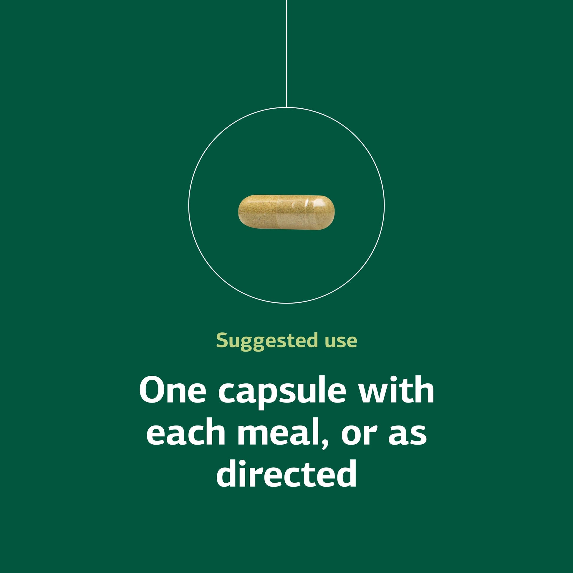 Standard Process Ostarplex - Dietary Supplement for Connective Tissue Health - Aids Liver Health & Function - Contains Vitamin B6 - Non-Dairy - 90 Capsules (90 Servings) Standard Process Inc. Au supplements