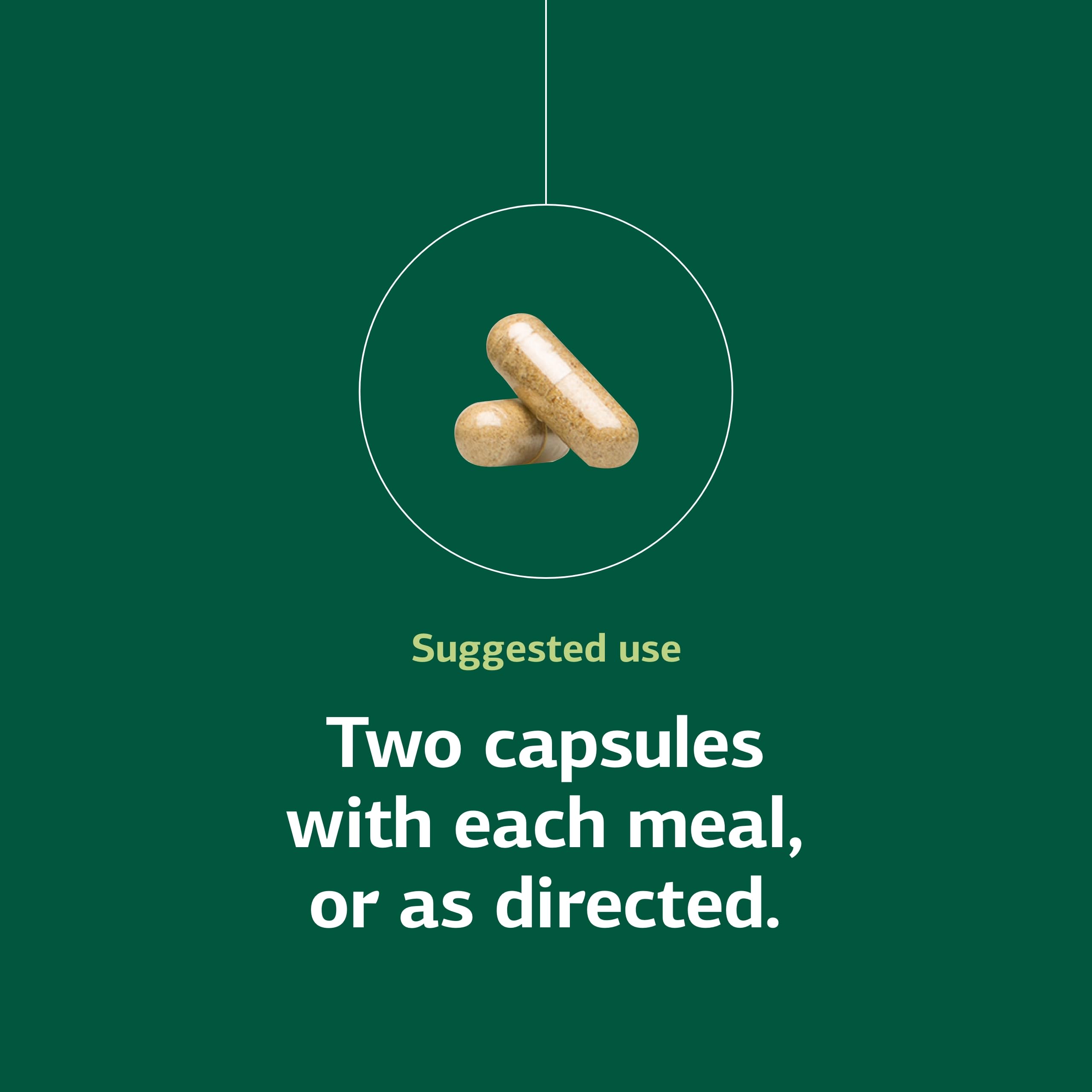 Standard Process Senaplex - Nervous System Support with Niacin, Vitamin B12 & B6 - Supports Brain Health & Cellular Health - Offers Antioxidant Activity - Non-Dairy - 90 Capsules (45 Servings) Standard Process Inc. Au supplements