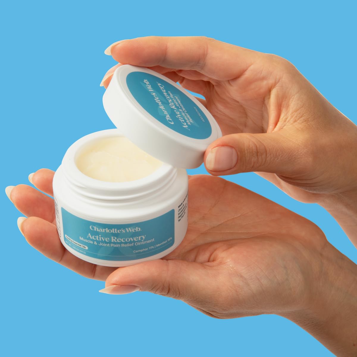 Charlotte's Web Active Recovery Muscle & Joint Relief Ointment 1.55oz Charlotte's Web Au supplements