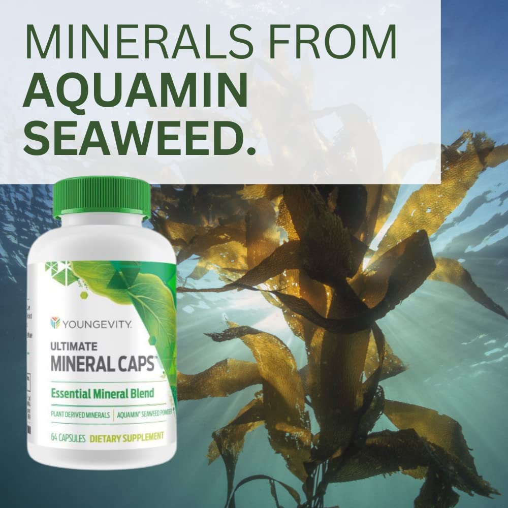 Youngevity Ultimate Mineral Caps™ - 70+ Essential Full Spectrum Trace Minerals - Nutrient-Dense, Derived from Humic & Aquamin Seaweed (64 Capsule) Youngevity Au supplements