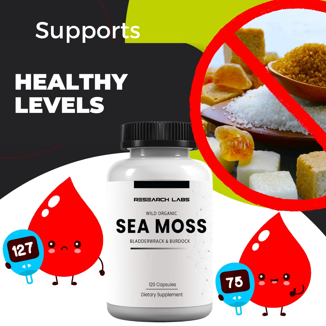 Research Labs 2 Fer 1 Ad Organic Irish Sea Moss Capsules 240 Total Pills, Raw Wildcrafted Seamoss Enhanced w/Bladderwrack & Burdock Root Antioxidant Powerhouse. Thyroid Support Research Labs Au supplements