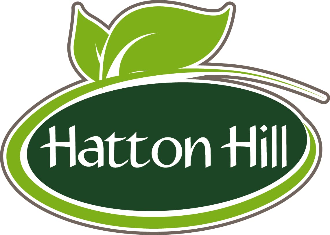 SOYA Protein Isolate (90% Protein) 250g by Hatton Hill, Unflavoured, Vegan Protein Shake Hatton Hill Au supplements