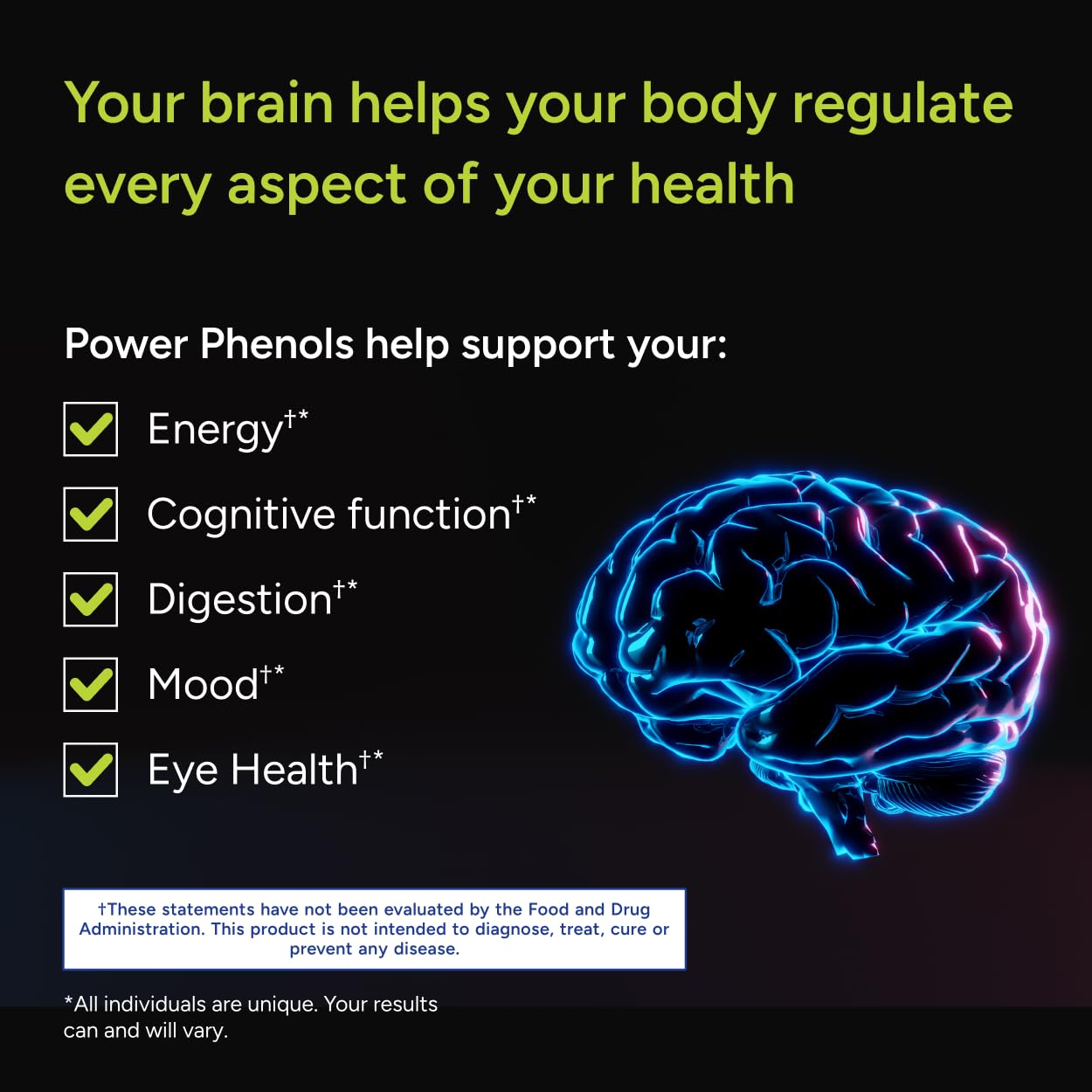 Gundry MD Power Phenols Brain Health Supplement for Cognition, Focus, Motivation, Productivity, and Energy - (30 Servings) Gundry MD Au supplements