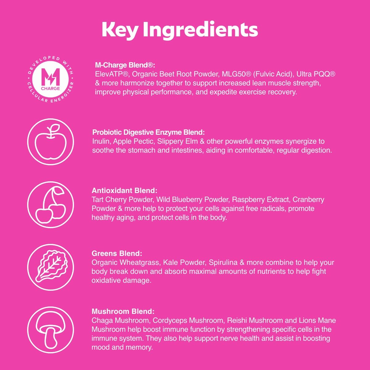 L'Evate You Vitality Daily Greens Powder (28 Servings) 30 Superfoods, 9 Greens - for a Cellular Energy Boost, Powered by M-Charge Complex for All Day Energy (Tart Cherry) Steve Harvey's L'Evate You Au supplements