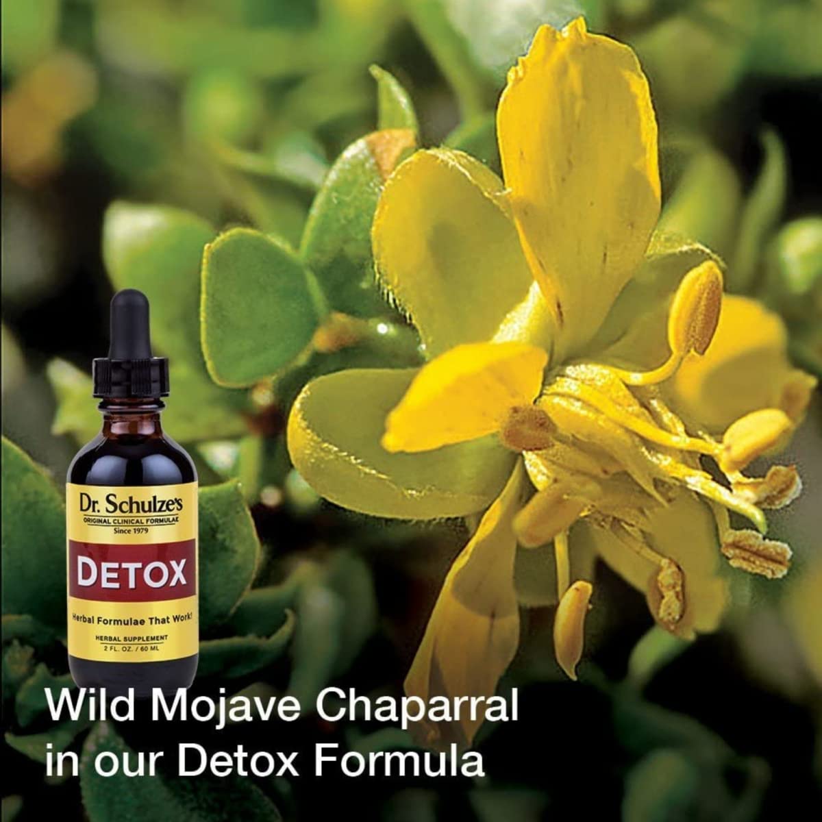 Dr. Schulze's 5 Day Kidney Dr. Schulze's Au supplements