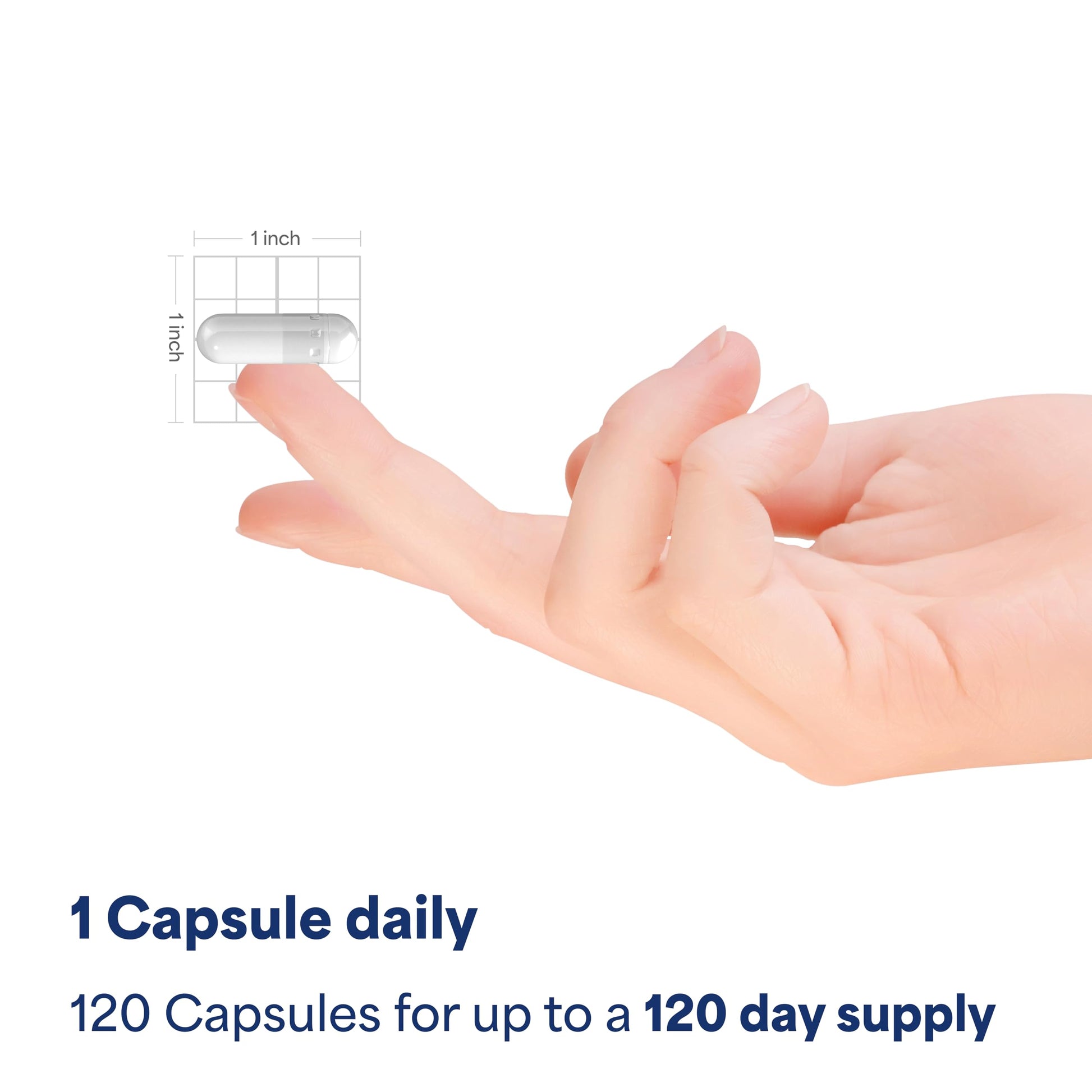 Puritan's Pride Triple Magnesium Complex with Magnesium Oxide, Aspartate, and Citrate 400mg, Dietary Supplement for Muscle, Heart, Nerve, and Bone Support, 120 Rapid Release Capsules Puritan's Pride Au supplements