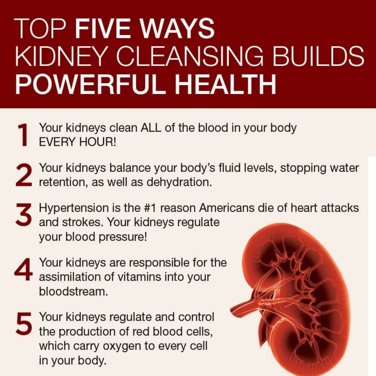 Dr. Schulze's 5 Day Kidney Dr. Schulze's Au supplements