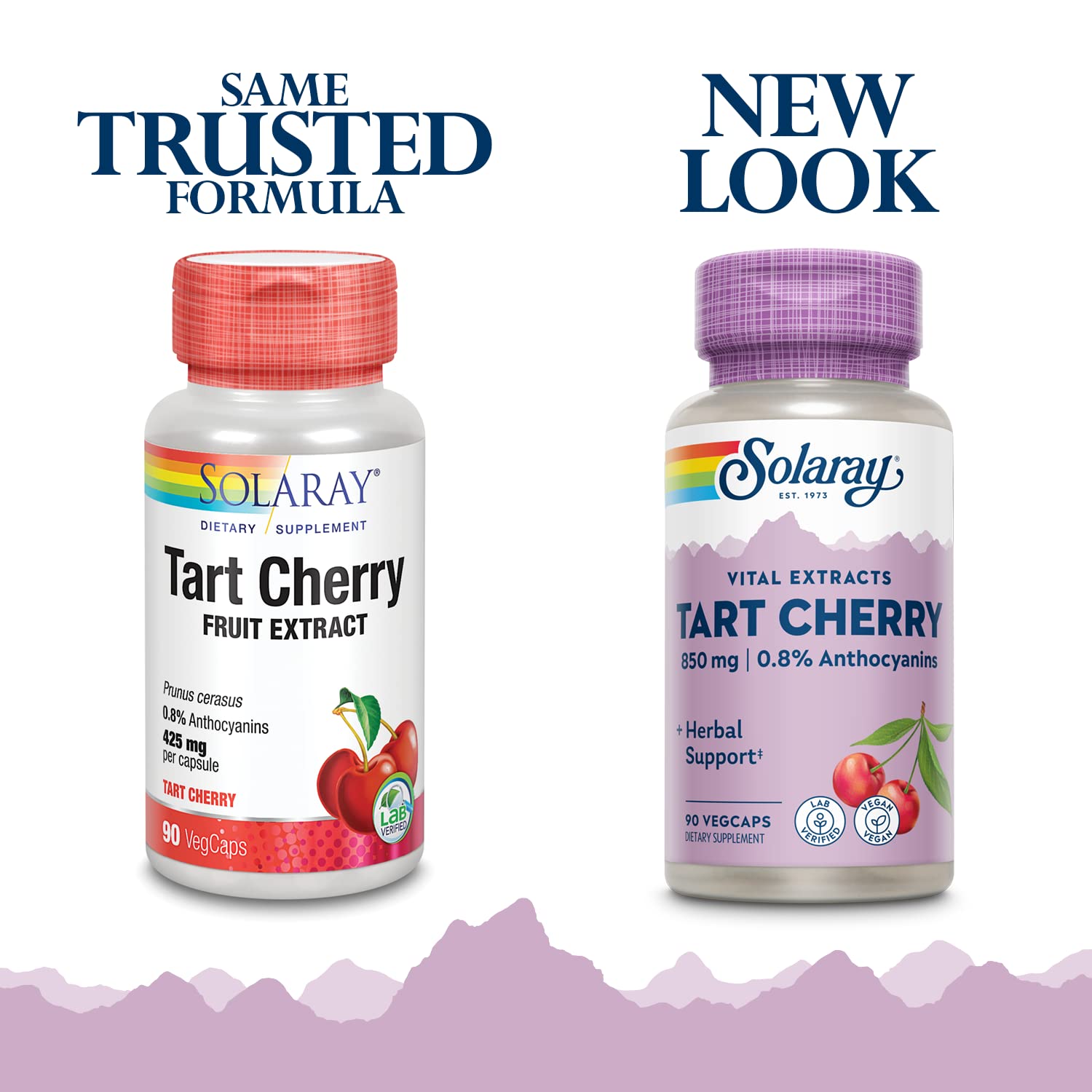 Solaray Tart Cherry Fruit Extract 850 mg - Tart Cherry Supplement with Antioxidants, Fruit Juice Extract with Flavonoids - 90 VegCaps SOLARAY Au supplements