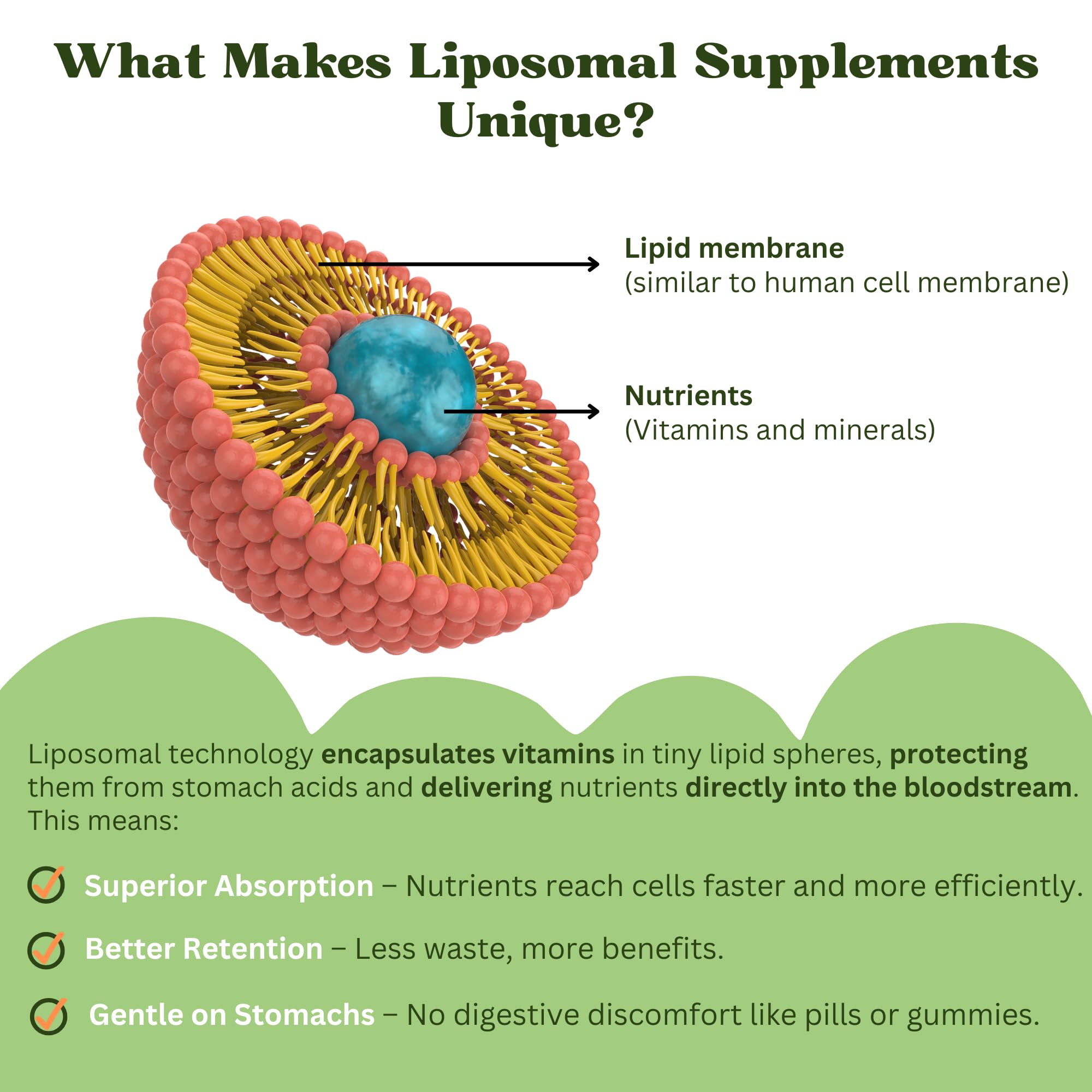 Vitaminally Liposomal Kids Liquid Multivitamin | Non-GMO | Clean | Sugar Free | Gluten Free | Organic Berry Flavors |