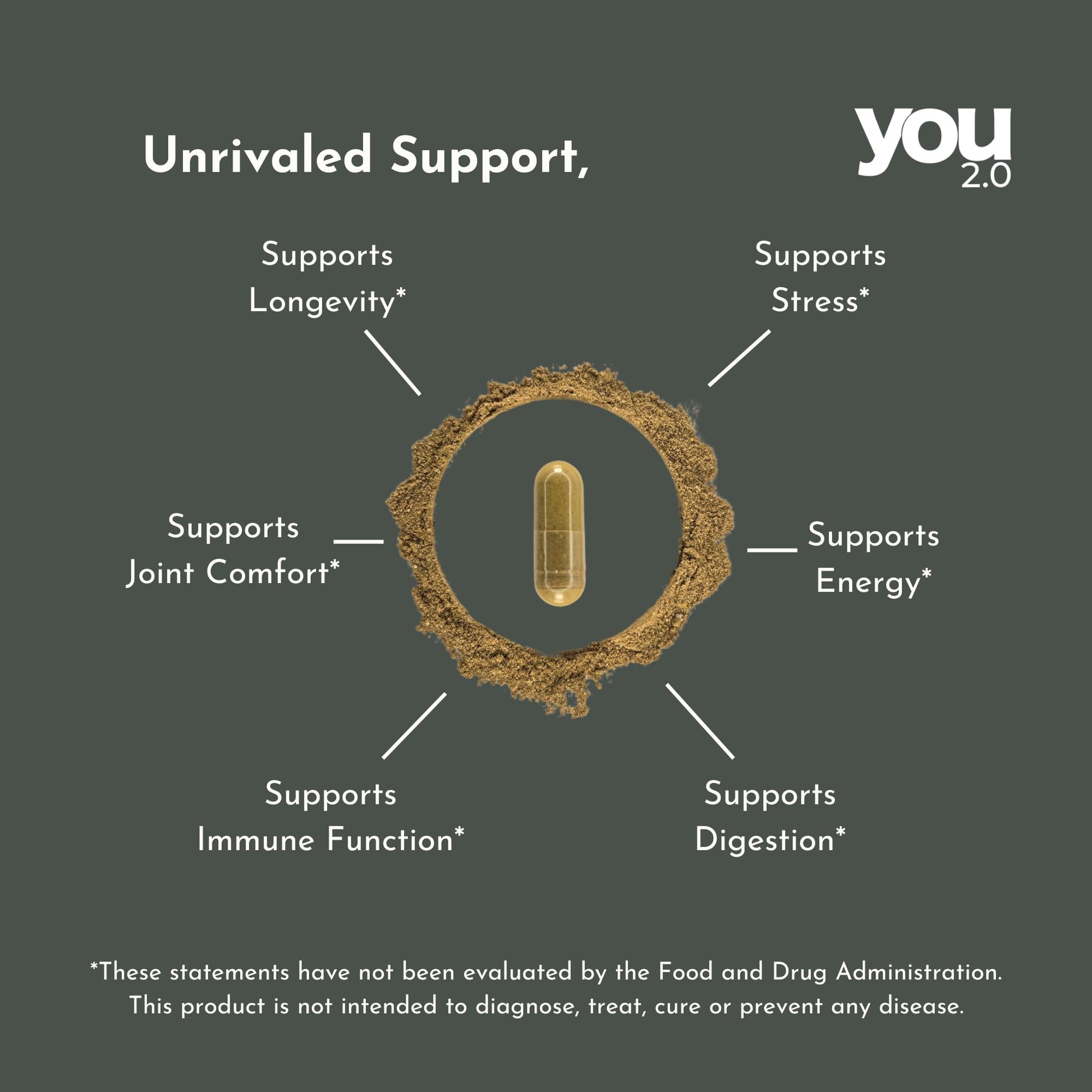 YOU 2.0 Powerhouse Superfood with Seamoss, Shilajit, Ashwagandha, Berberine, Maca, Black Seed Oil, Turmeric, Vitamin C, D, B12, K2 - Moringa, Apple Cider, Made in USA for Overall Health & Immunity YOU 2.0 Au supplements