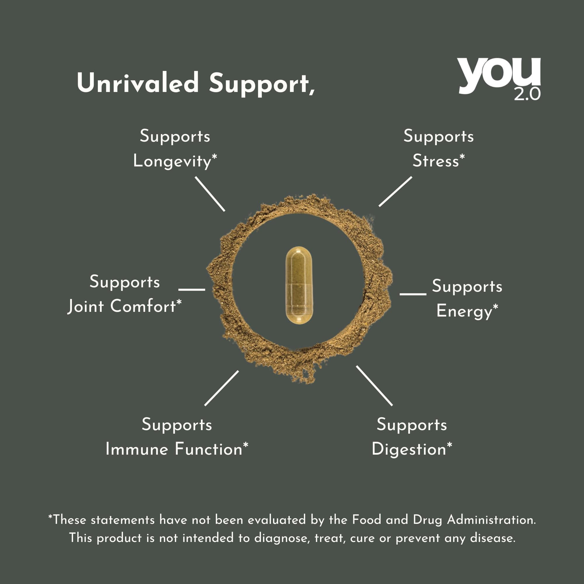 YOU 2.0 Powerhouse Superfood with Seamoss, Shilajit, Ashwagandha, Berberine, Maca, Black Seed Oil, Turmeric, Vitamin C, D, B12, K2 - Moringa, Apple Cider, Made in USA for Overall Health & Immunity YOU 2.0 Au supplements