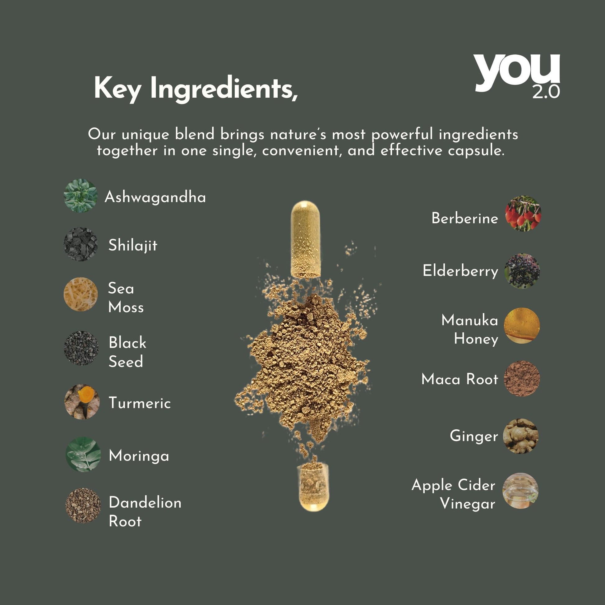 YOU 2.0 Powerhouse Superfood with Seamoss, Shilajit, Ashwagandha, Berberine, Maca, Black Seed Oil, Turmeric, Vitamin C, D, B12, K2 - Moringa, Apple Cider, Made in USA for Overall Health & Immunity YOU 2.0 Au supplements