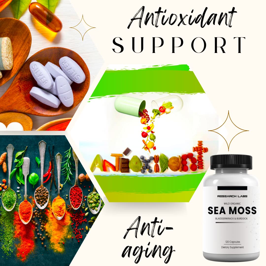 Research Labs 2 Fer 1 Ad Organic Irish Sea Moss Capsules 240 Total Pills, Raw Wildcrafted Seamoss Enhanced w/Bladderwrack & Burdock Root Antioxidant Powerhouse. Thyroid Support Research Labs Au supplements