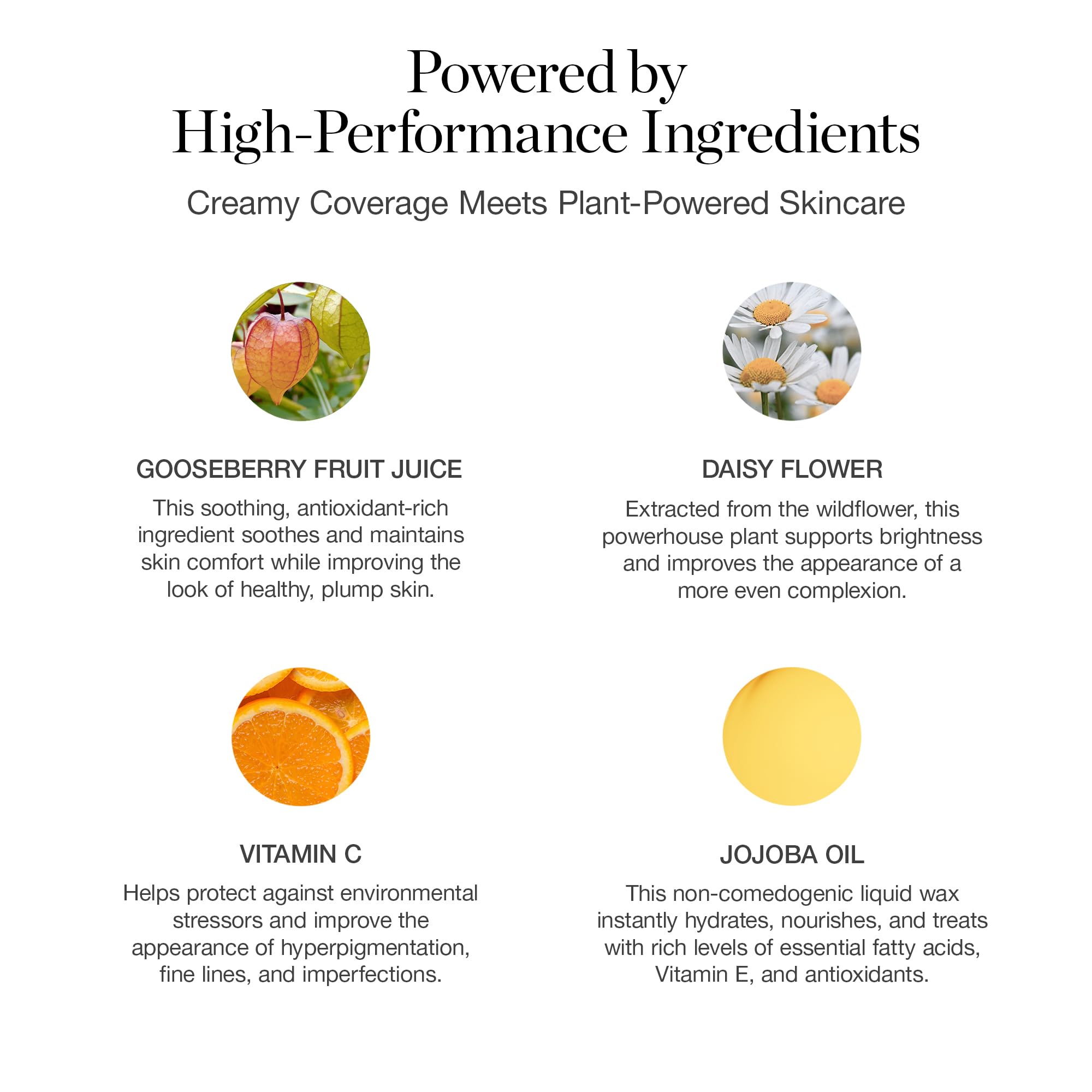 Ogee Complexion Perfecting Liquid Foundation - Lightweight Tinted Moisturizer For Face (Mahogany 14.5N - Deep Cocoa (Rich Undertones) - with Vitamin C & Jojoba Oil - Certified Organic & Made in USA Ogee Au supplements