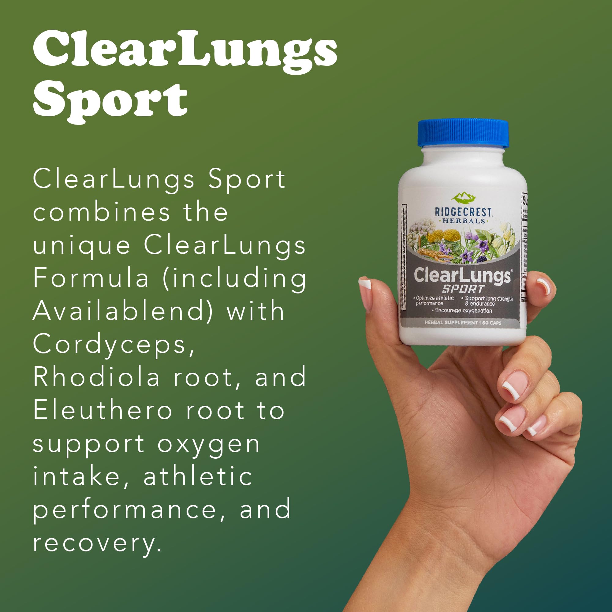 Ridgecrest Herbals ClearLungs Sport, Oxygen Intake and Lung Support Formula with Cordyceps, Rhodiola, Eleuthero (60 Vegan Caps, 30 Serv) RidgeCrest Herbals Au supplements