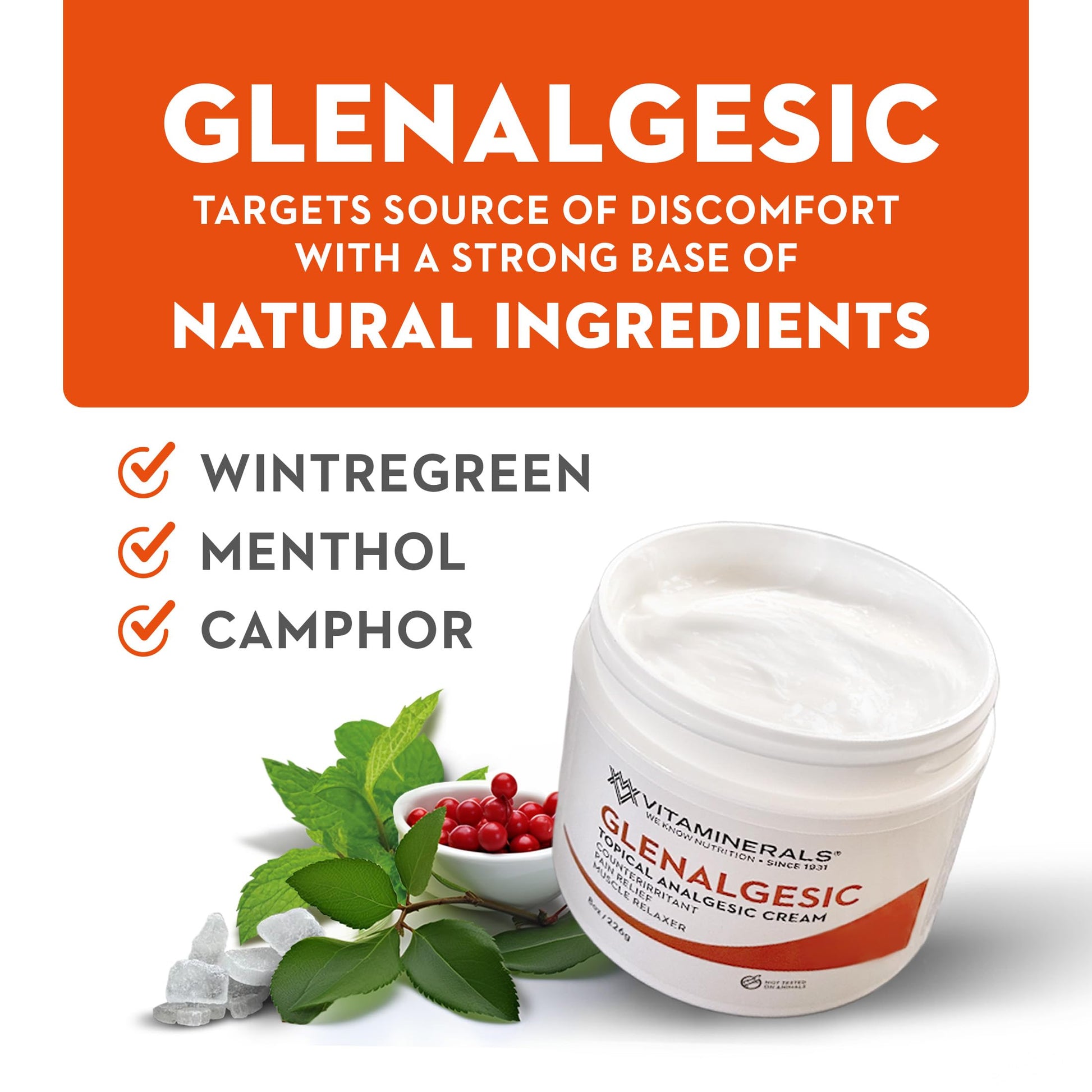 Vitaminerals 171 Glenalgesic® Pain Support Analgesic Balm, Muscle & Joint | Maximum Strength | Menthol | Camphor (8 oz) Vitaminerals Au supplements
