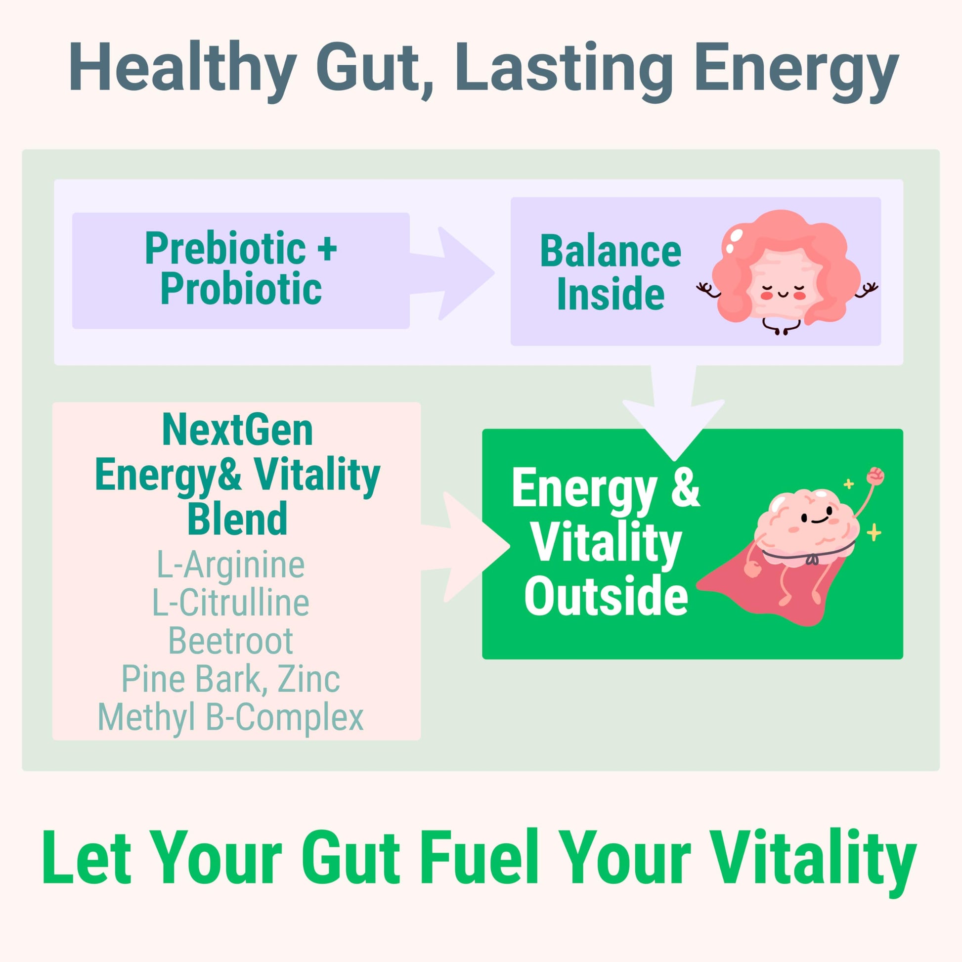 Pine Bark Extract L-Arginine L-Citrulline Beetroot Probiotic Fiber Methylated B Complex Zinc Gummies for Women Men Adults Kids w. Chicory Root Inulin 5-MTHF B6 P5P Powder Capsule Pill Supplement Alt SHIZAM Au supplements