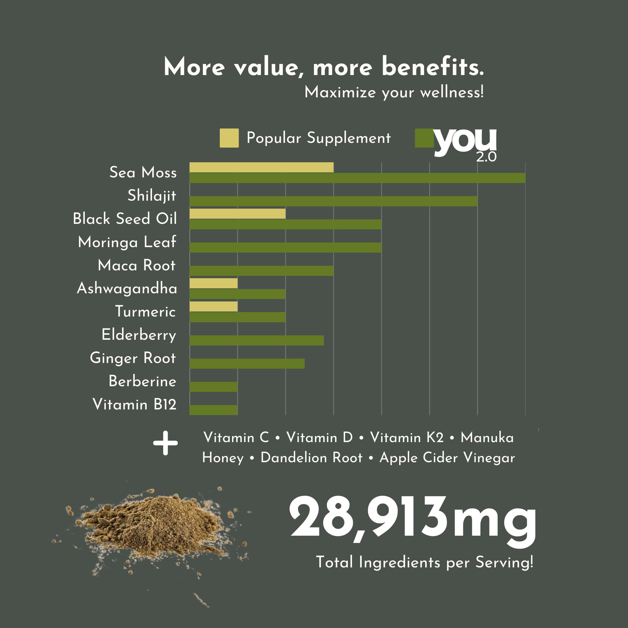 YOU 2.0 Powerhouse Superfood with Seamoss, Shilajit, Ashwagandha, Berberine, Maca, Black Seed Oil, Turmeric, Vitamin C, D, B12, K2 - Moringa, Apple Cider, Made in USA for Overall Health & Immunity YOU 2.0 Au supplements