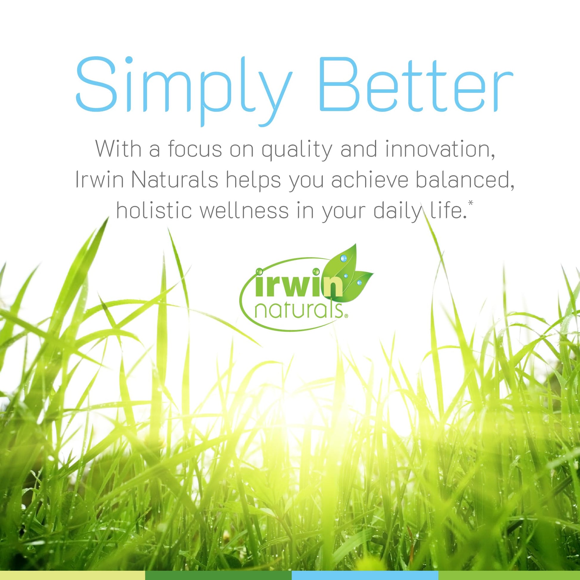 Irwin Naturals Only One Liquid-Gel Multi with Iron - 60 Liquid Softgels - Daily Essential Vitamins, Minerals, Antioxidants, Omega-3s & Green Super Foods Irwin Naturals Au supplements