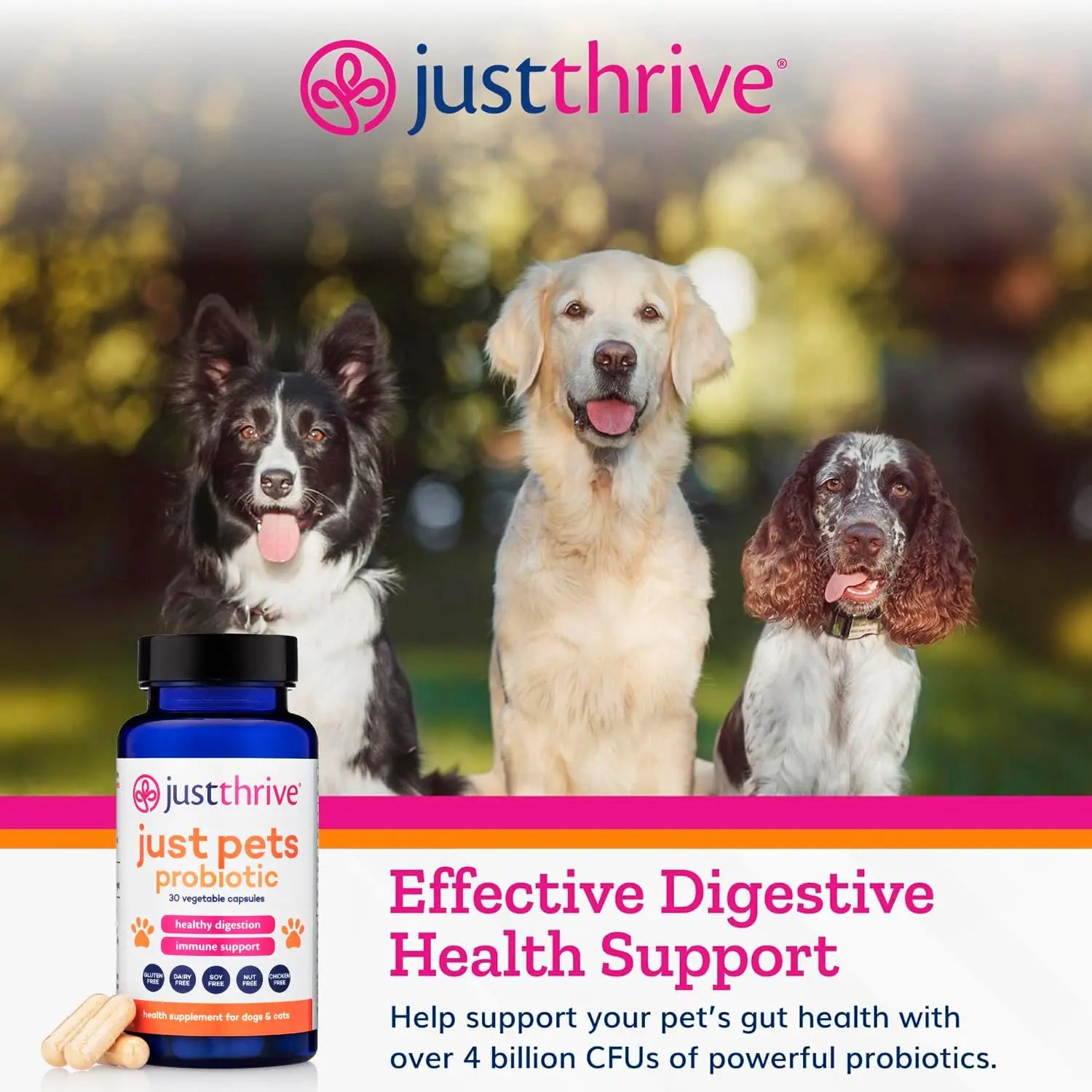 Just Thrive Just Pets Probiotic - Daily Digestive Probiotics for Dogs and Cats - 4 Billion CFUs Pet Probiotic, 30 Capsules Just Thrive Au supplements