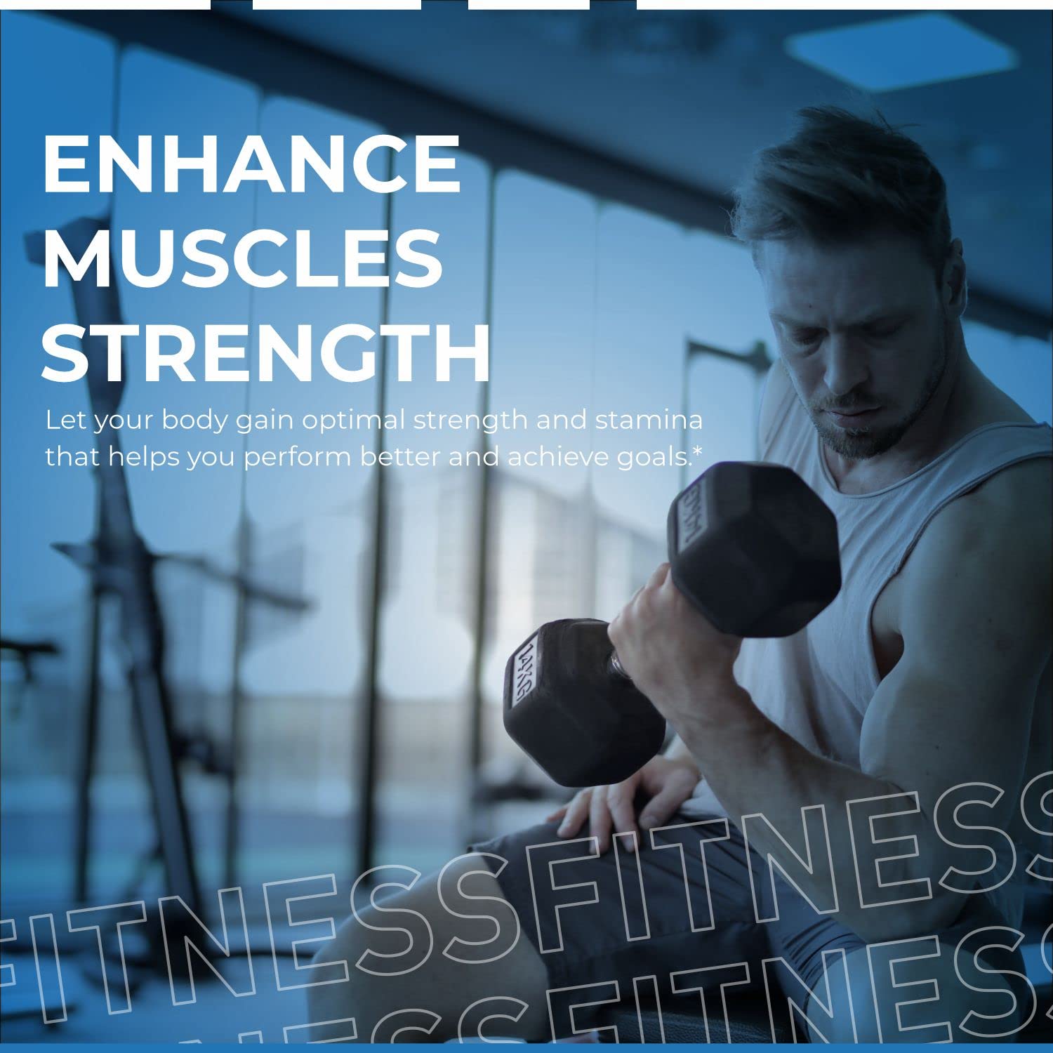 VITASEI Testronix Performance Supplement for Men - Energy and Muscle Supplements for Mens Health - 60 Capsules (Pack of 2) VITASEI Au supplements