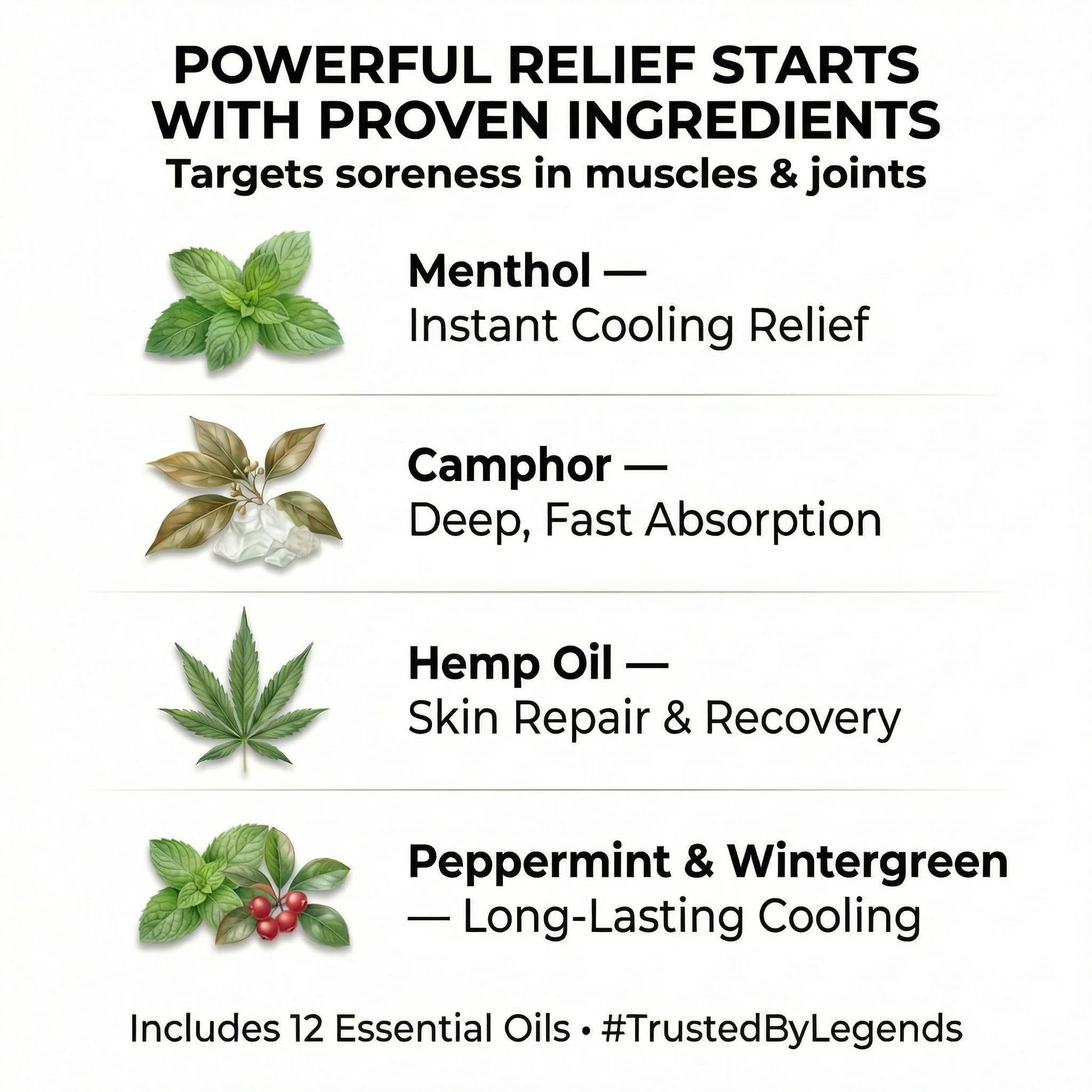 ZEN Hemp Balm 3 Pack – Fast-Acting Pain Relief for Muscles & Joints – Plant-Based Topical – 0.7 oz Each ZEN Au supplements