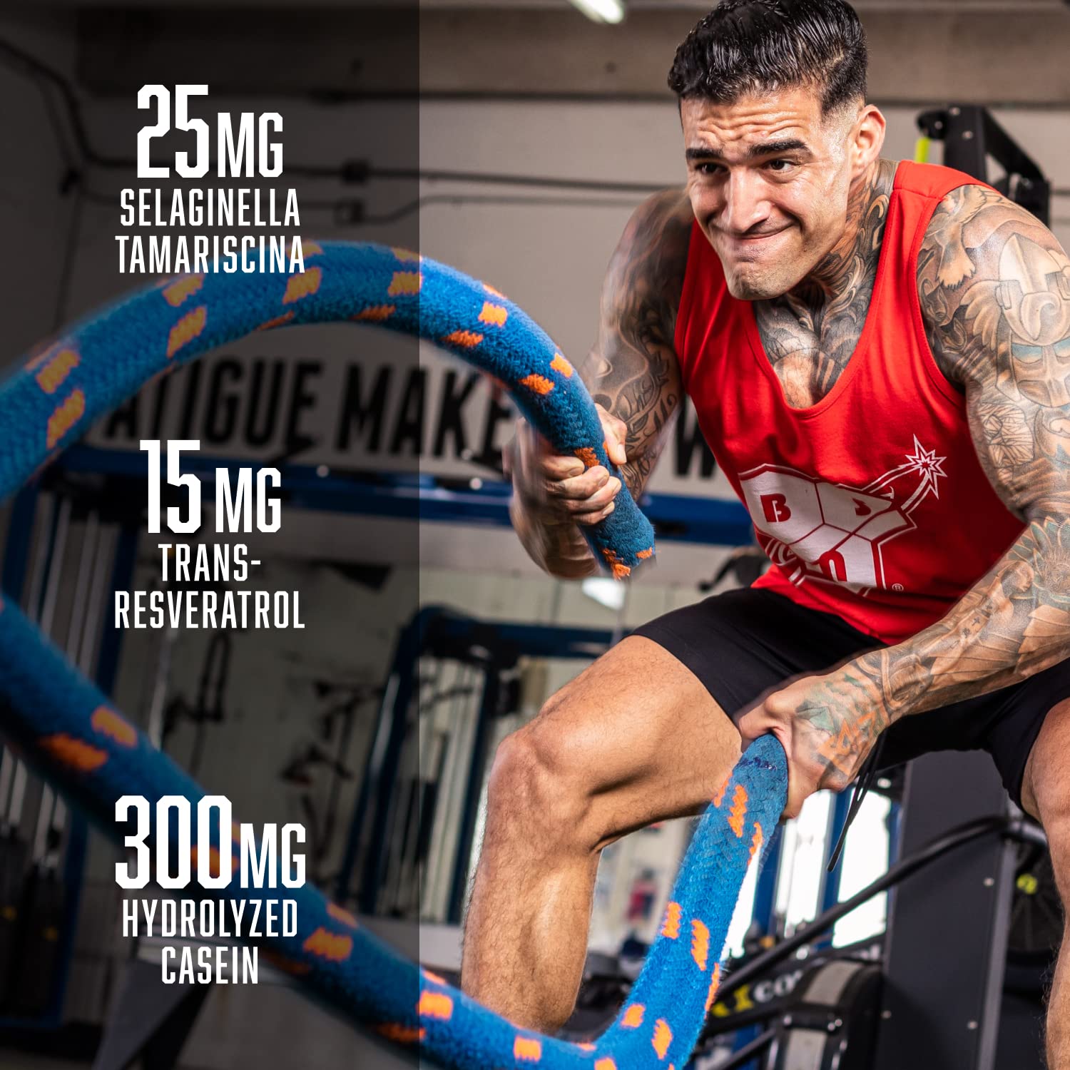 BSN N.O.-XPLODE Vaso Pre Workout Powder with 8g of L-Citrulline and 3.2g Beta-Alanine BSN Au supplements