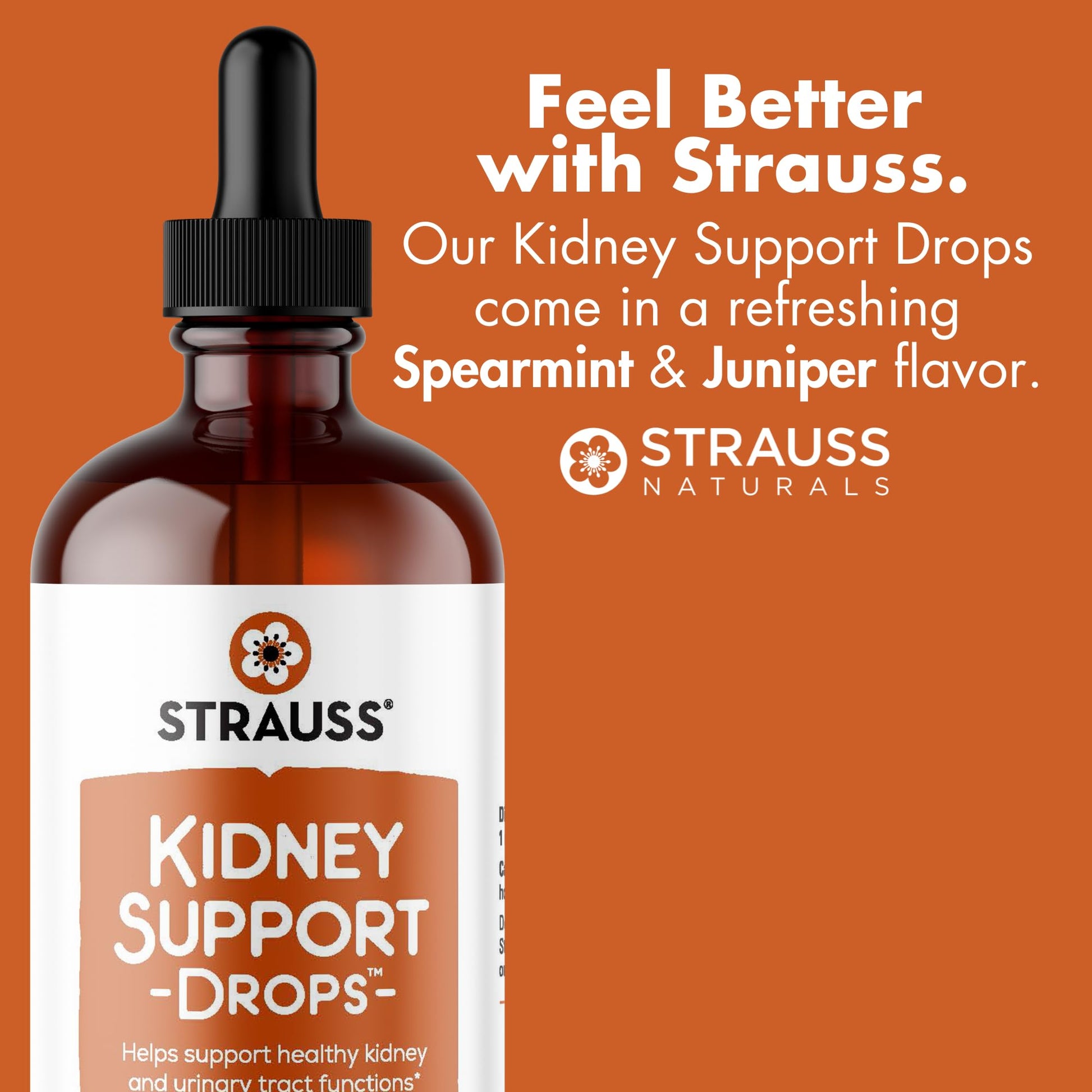 Strauss Naturals Kidney Support Drops – Herbal Kidney Support Supplement for Men and Women – Helps with Kidney Health and Urinary Tract Function – Vegan & Non-GMO – Spearmint Flavored – 100 ml Bottle Strauss Heartdrops Au supplements