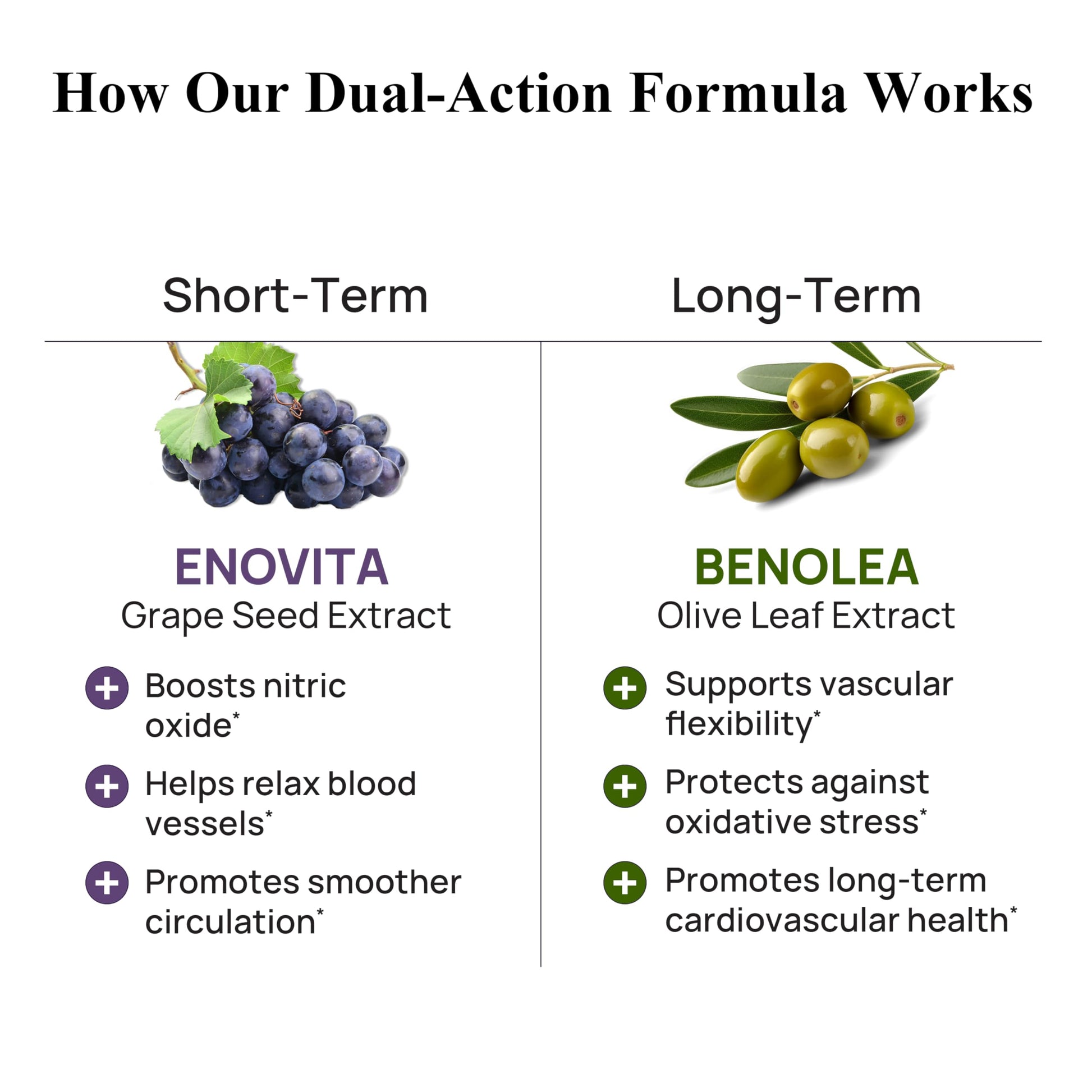 Durable Blood Pressure – Benolea Olive Leaf & Enovita Grape Seed Extract – Healthy Circulation, Nitric Oxide & Artery Support – Doctor Formulated, Vegan, Non-GMO, Made in USA (60 Capsules) Durable Au supplements