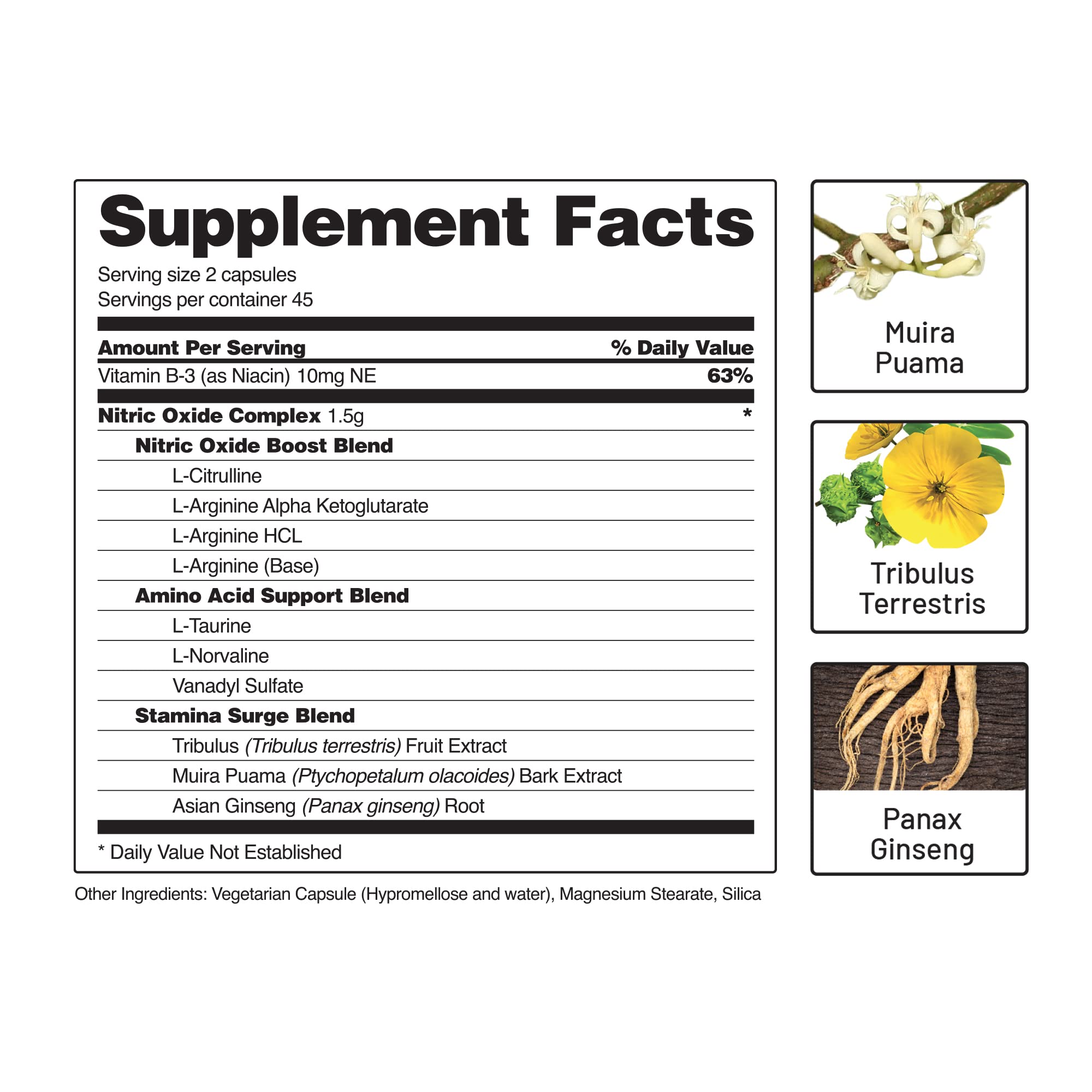 Snap Supplements Nitric Oxide Booster, Nitric Oxide Supplement for Blood Circulation Snap Supplements Au supplements