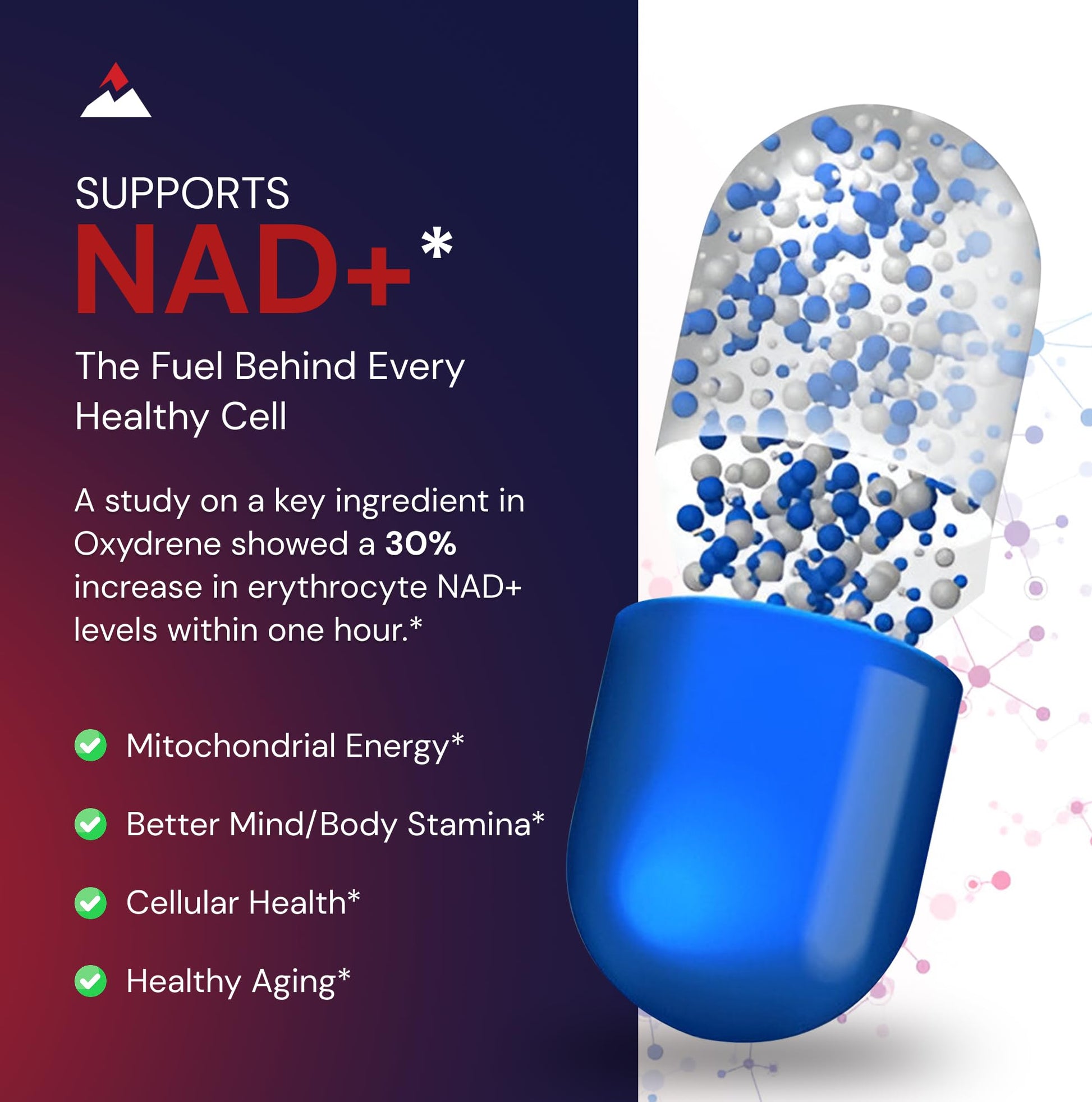Novex Biotech Oxydrene NAD+ Enhancer - Natural Supplement Promoting Metabolism and Cardiovascular Support for Men and Women - (60 Capsules) Novex Biotech Au supplements