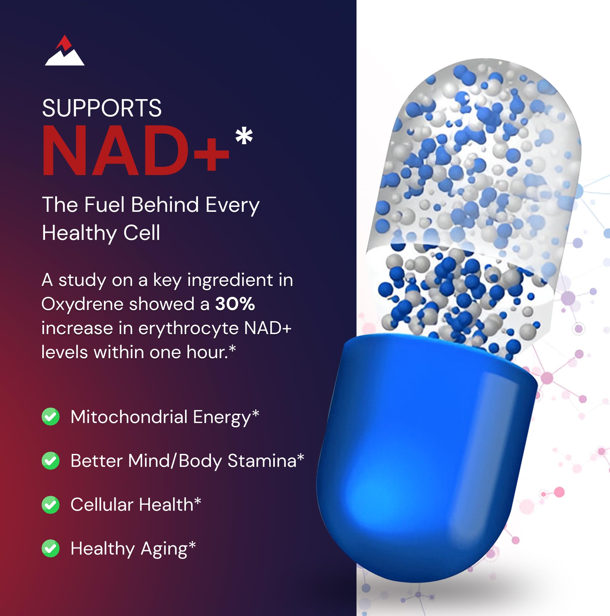 Novex Biotech Oxydrene NAD+ Enhancer - Natural Supplement Promoting Metabolism and Cardiovascular Support for Men and Women - (60 Capsules) Novex Biotech Au supplements