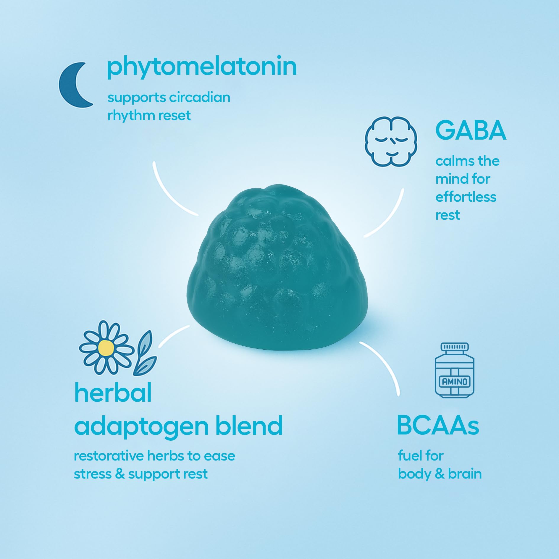 Jet Lag Remedy for Travel Gummies • No Jet Lag Pills Alternative • Travel Essentials • Support Adjustment to Time Zones and Circadian Rhythm • Delicious Tropical Berry Flavor • 20 Gummies 3-5 Trips Gummly Au supplements
