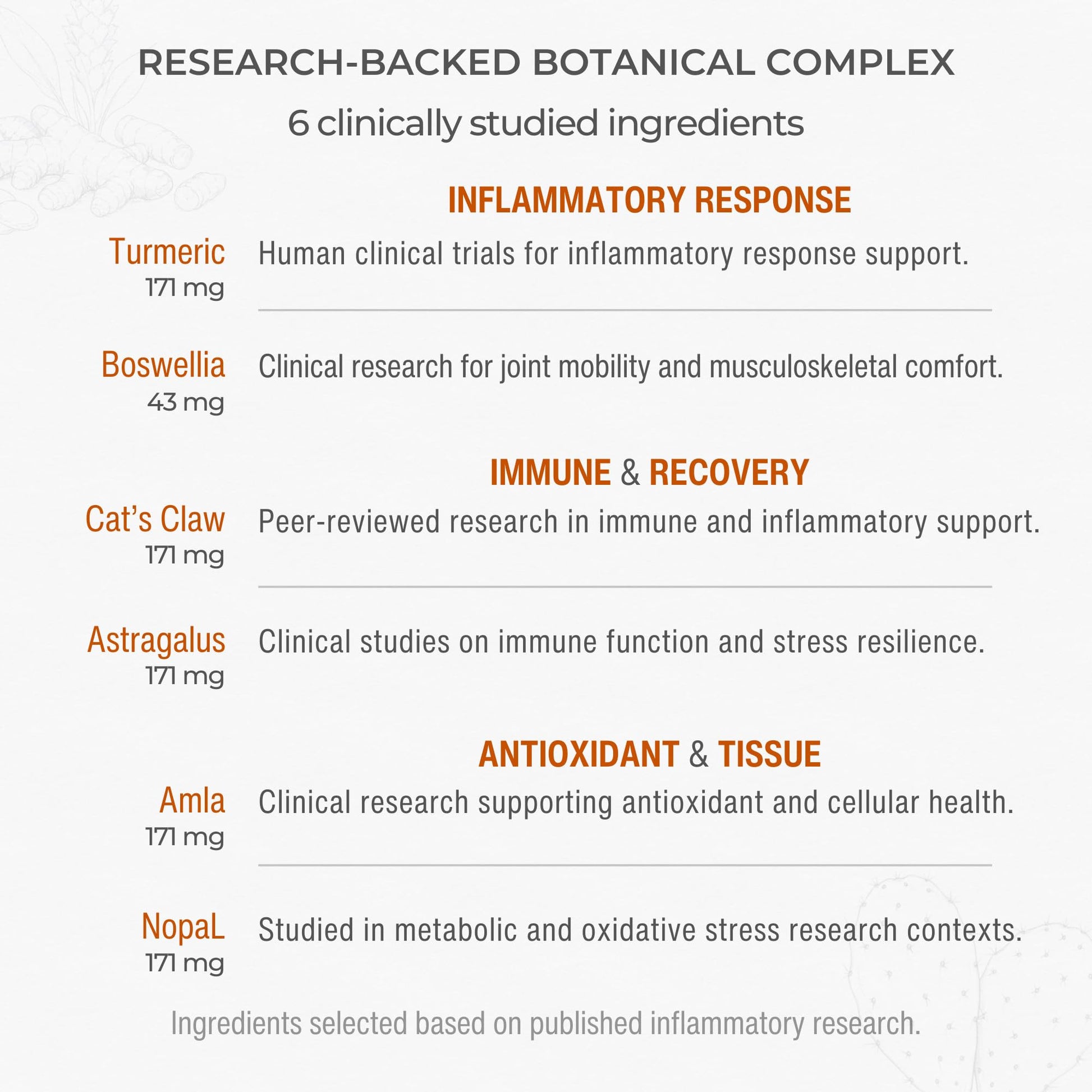Muscle & Joint Support Supplement – Botanical Formula for Healthy Inflammatory Response | 6 Research-Backed Botanicals | Organic Turmeric | 60 Capsules | Sana Herbal Sana Herbal Sciences Au supplements
