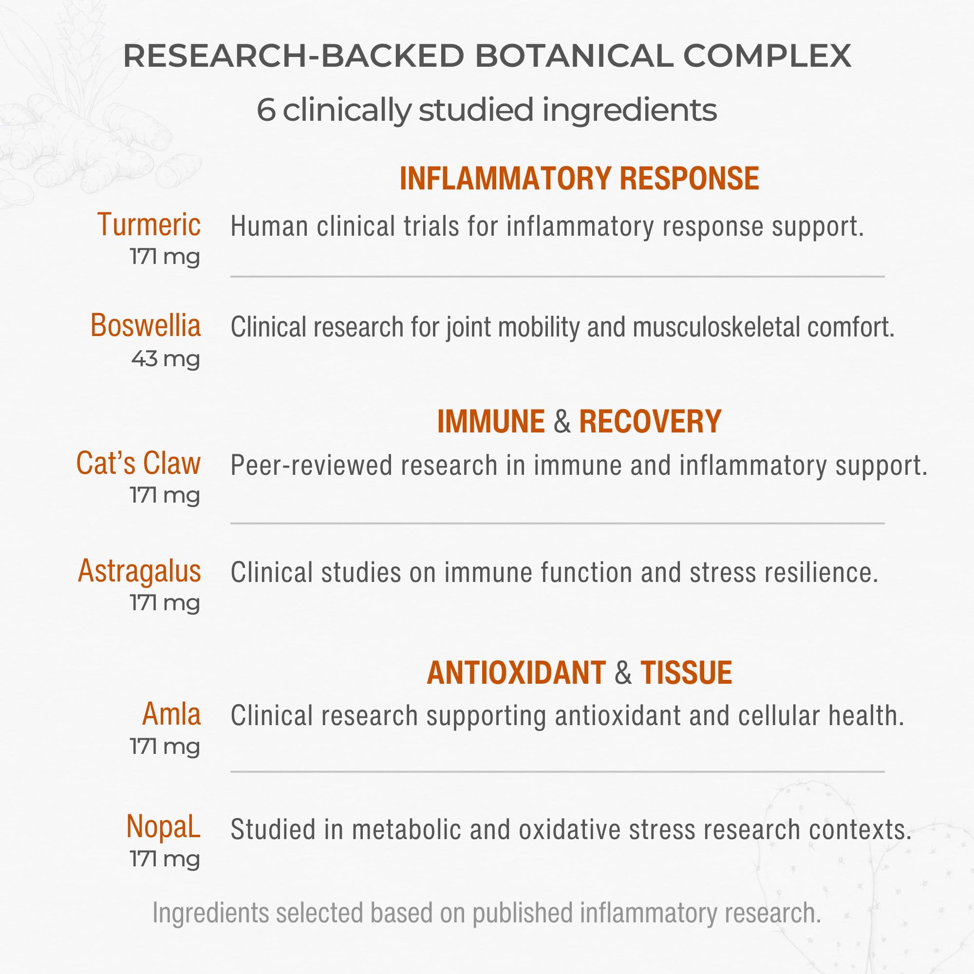 Muscle & Joint Support Supplement – Botanical Formula for Healthy Inflammatory Response | 6 Research-Backed Botanicals | Organic Turmeric | 60 Capsules | Sana Herbal Sana Herbal Sciences Au supplements