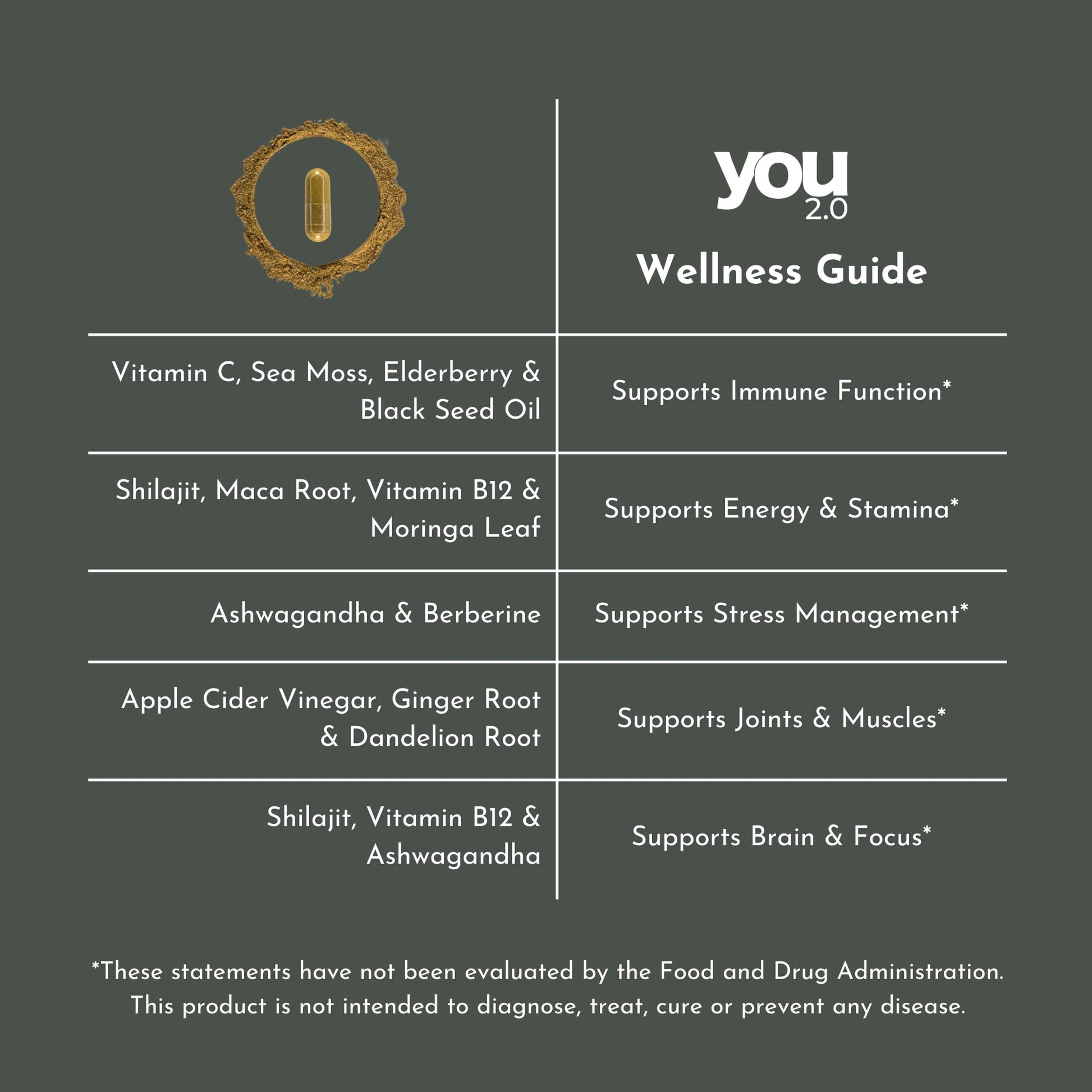 YOU 2.0 Powerhouse Superfood with Seamoss, Shilajit, Ashwagandha, Berberine, Maca, Black Seed Oil, Turmeric, Vitamin C, D, B12, K2 - Moringa, Apple Cider, Made in USA for Overall Health & Immunity YOU 2.0 Au supplements