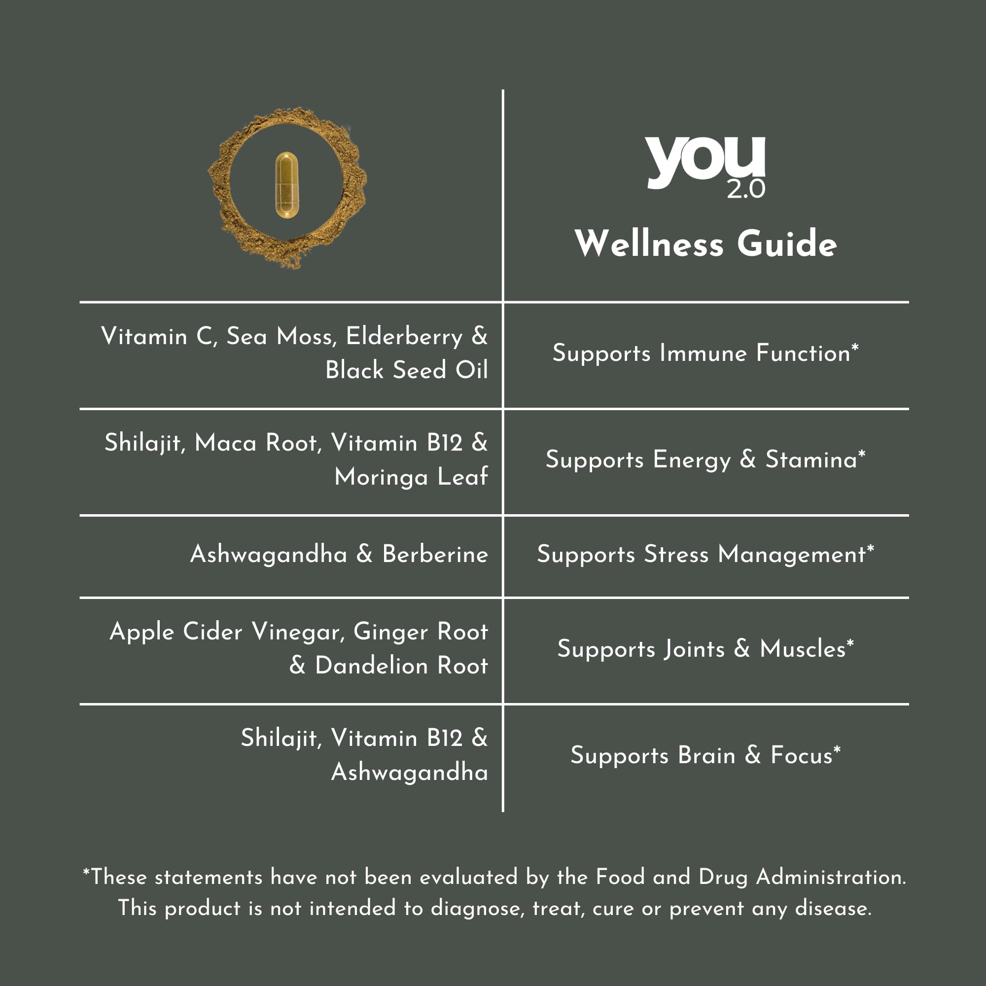 YOU 2.0 Powerhouse Superfood with Seamoss, Shilajit, Ashwagandha, Berberine, Maca, Black Seed Oil, Turmeric, Vitamin C, D, B12, K2 - Moringa, Apple Cider, Made in USA for Overall Health & Immunity YOU 2.0 Au supplements