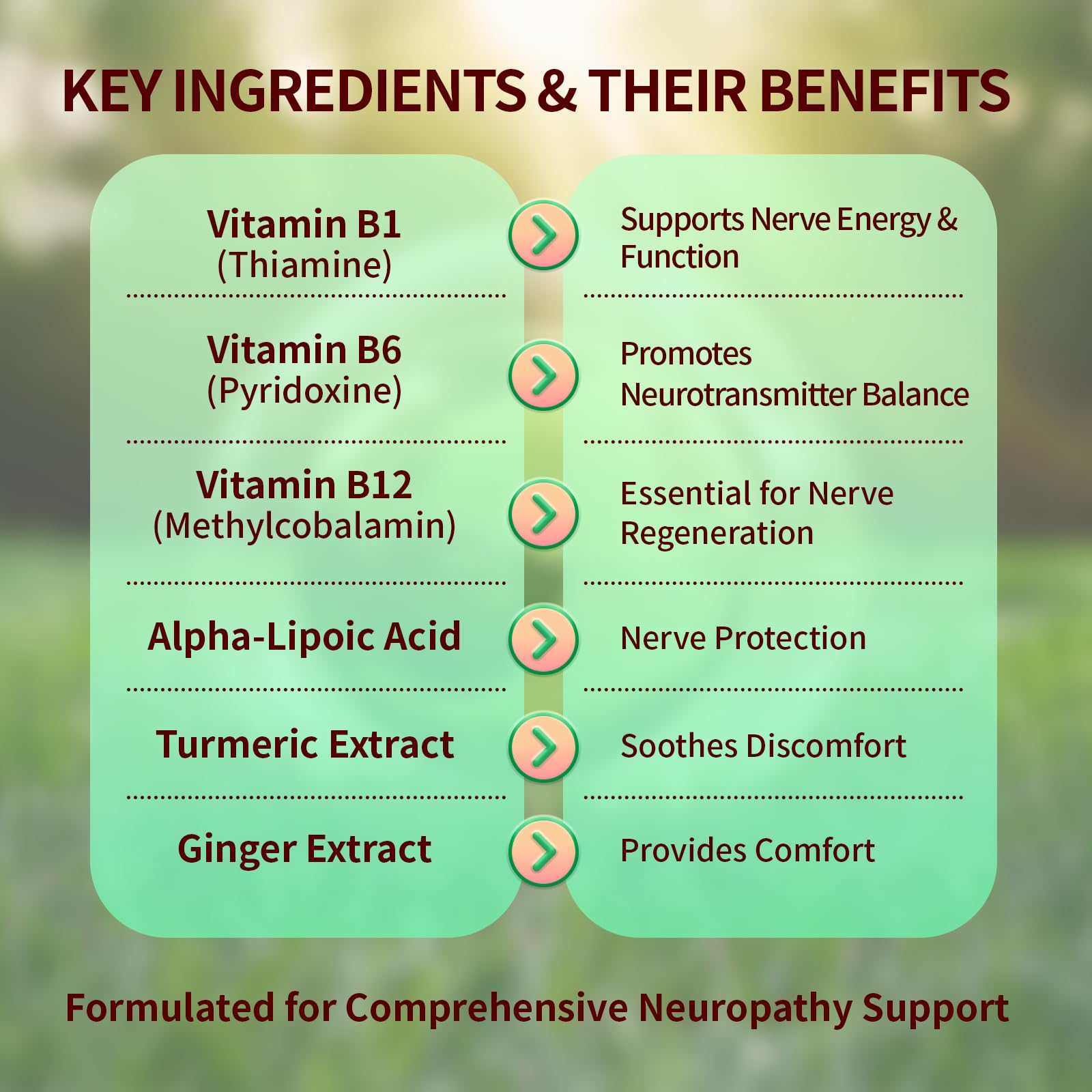Sugar Free Neuropathy Support Gummies for Nerve – Enhanced Nerve Health, Regeneration, Cognitive Support with Vitamin B1, B6, B12, Magnesium, ALA, Turmeric, CoQ10 & More Warmbioder Au supplements