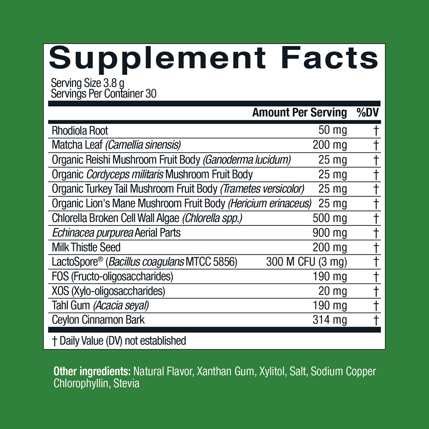 Live Conscious Beyond Greens Concentrated Superfood Powder - Matcha Flavor w/Chlorella, Echinacea, Probiotics for Immune Support & Energy - 30 Servings (2-Pack) Live Conscious Au supplements