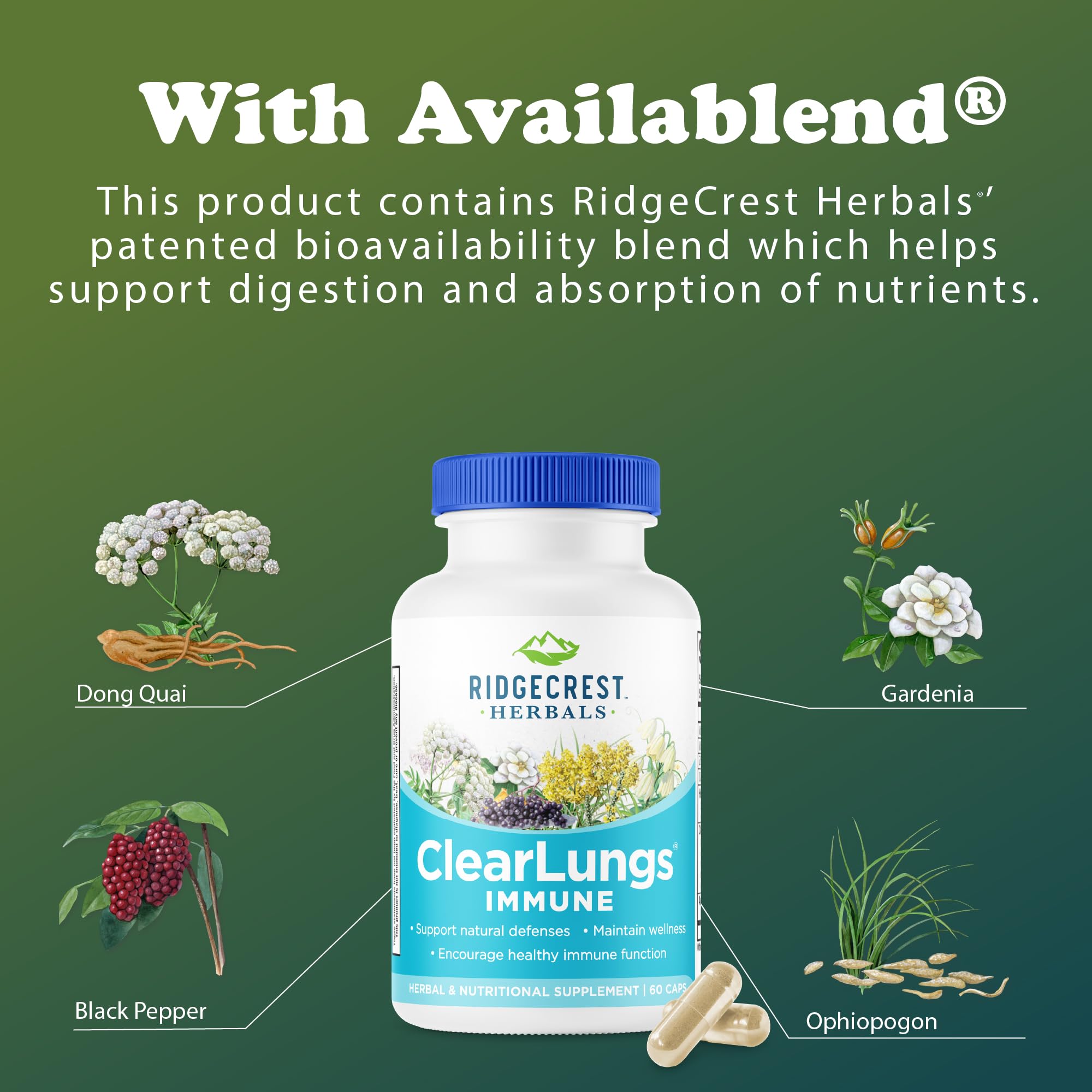 RidgeCrest Herbals ClearLungs Immune, Lung Support Supplement with Elderberry, Zinc, Vitamin C, Vitamin A, Olive Leaf, Mullein, Lung Wellness Formula for Respiratory Health (60 Vegan Caps, 30 Serv) RidgeCrest Herbals Au supplements