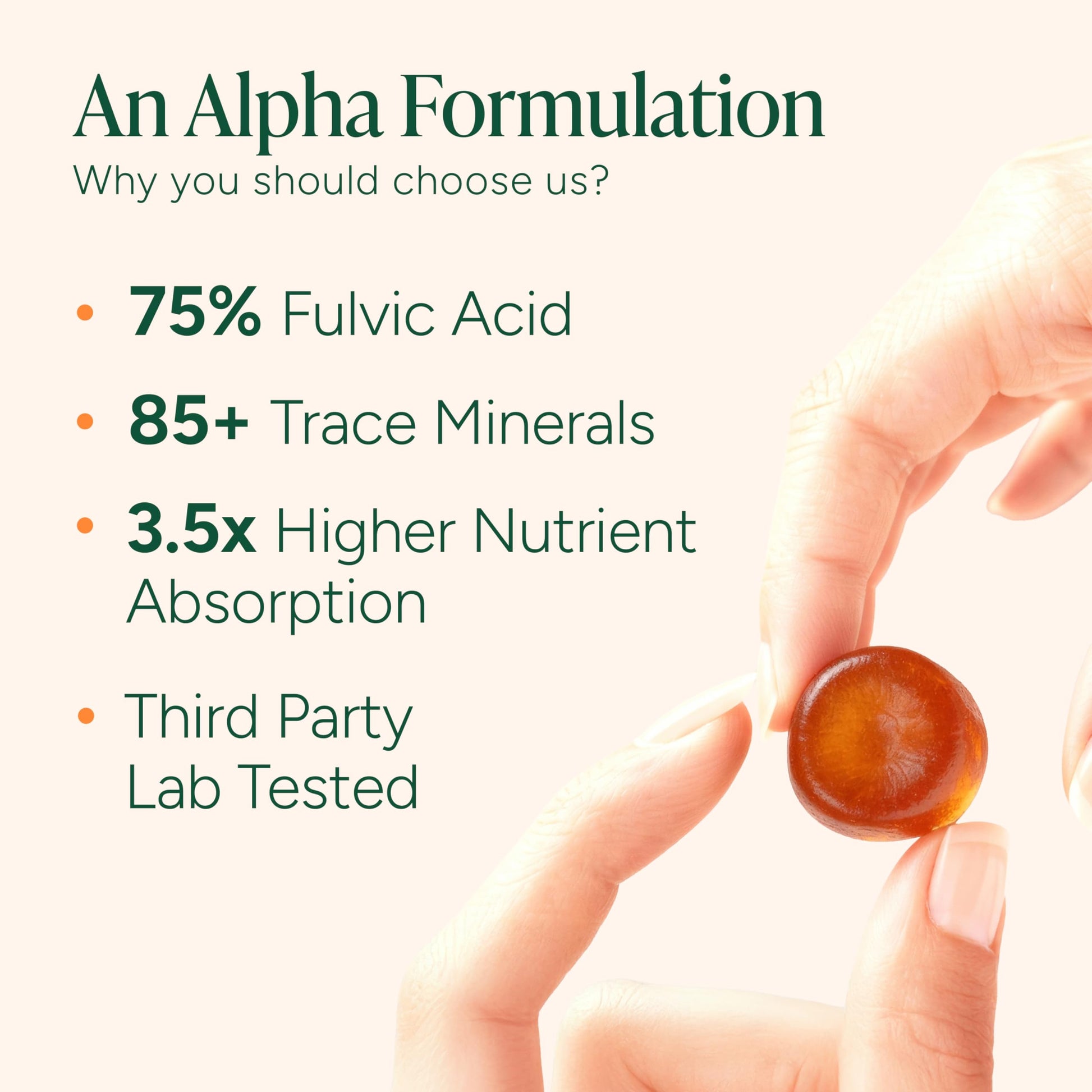 ROOT LABS 10-in-1 Alpha Shilajit Gummies | 4000 mg Pure Himalayan Shilajit with Tongkat Ali & Maca Root | Shilajit for Men & Women | ShilAbsorb Bioavailability Tech | Sugar-Free, Vegan | 60 Gummies ROOT LABS Au supplements