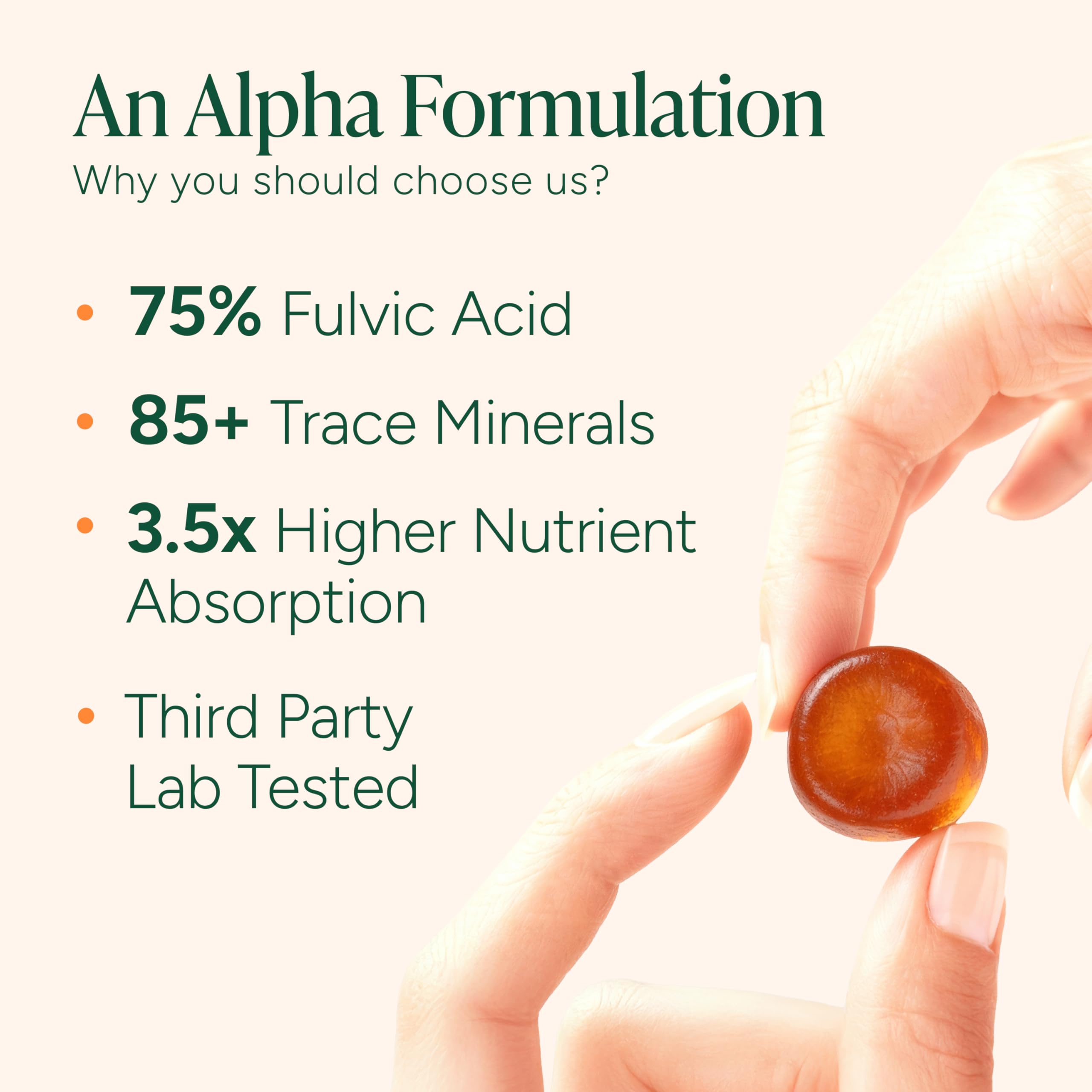 ROOT LABS 10-in-1 Alpha Shilajit Gummies | 4000 mg Pure Himalayan Shilajit with Tongkat Ali & Maca Root | Shilajit for Men & Women | ShilAbsorb Bioavailability Tech | Sugar-Free, Vegan | 60 Gummies ROOT LABS Au supplements