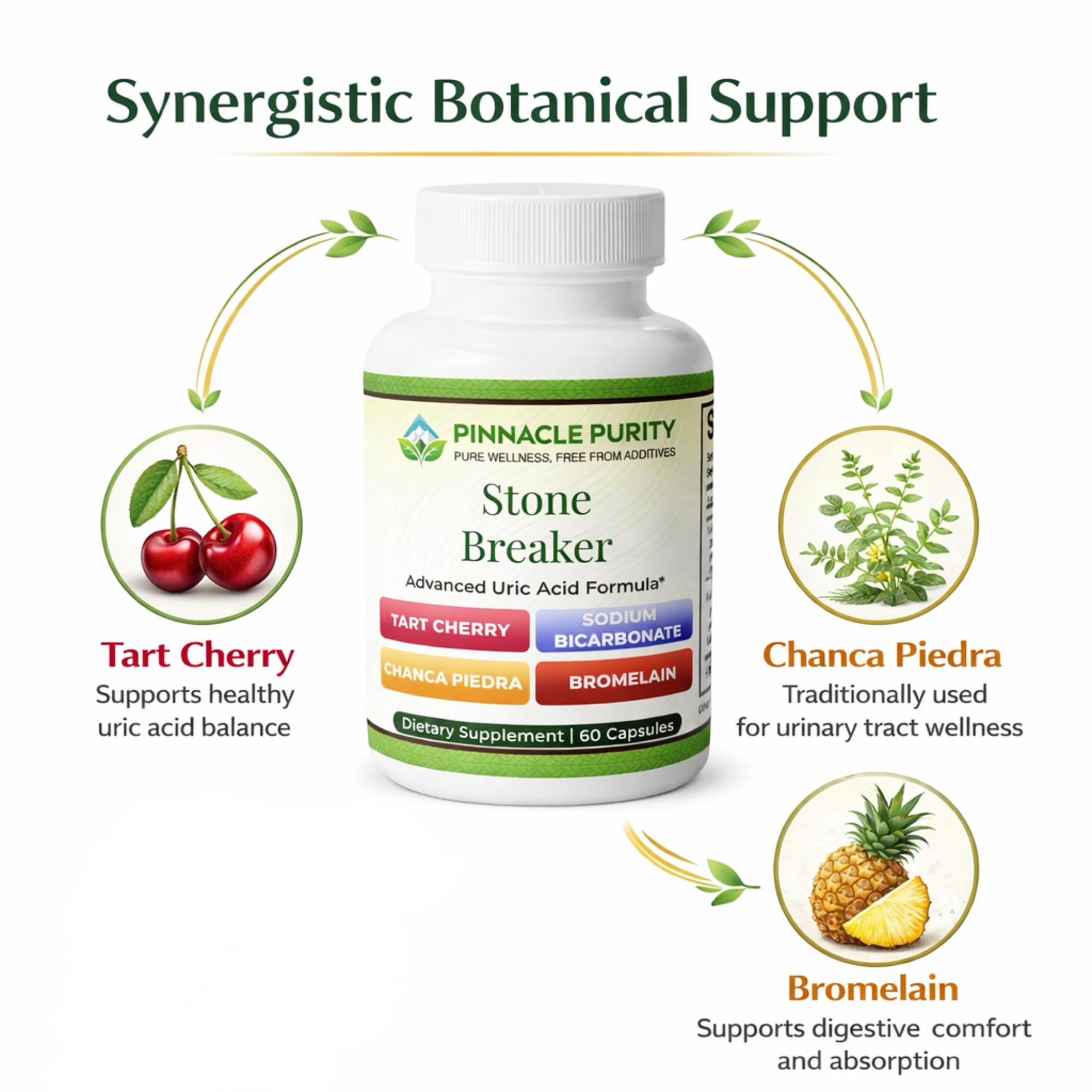 Pinnacle Purity Stone Breaker 60 Capsules, With Chanca Piedra, Tart Cherry & Bromelain – Supports Kidney & Liver Balance, Promotes Gentle Stone Management, Enhances Natural Cleansing Pathways, Non-GMO Pinnacle Purity Au supplements